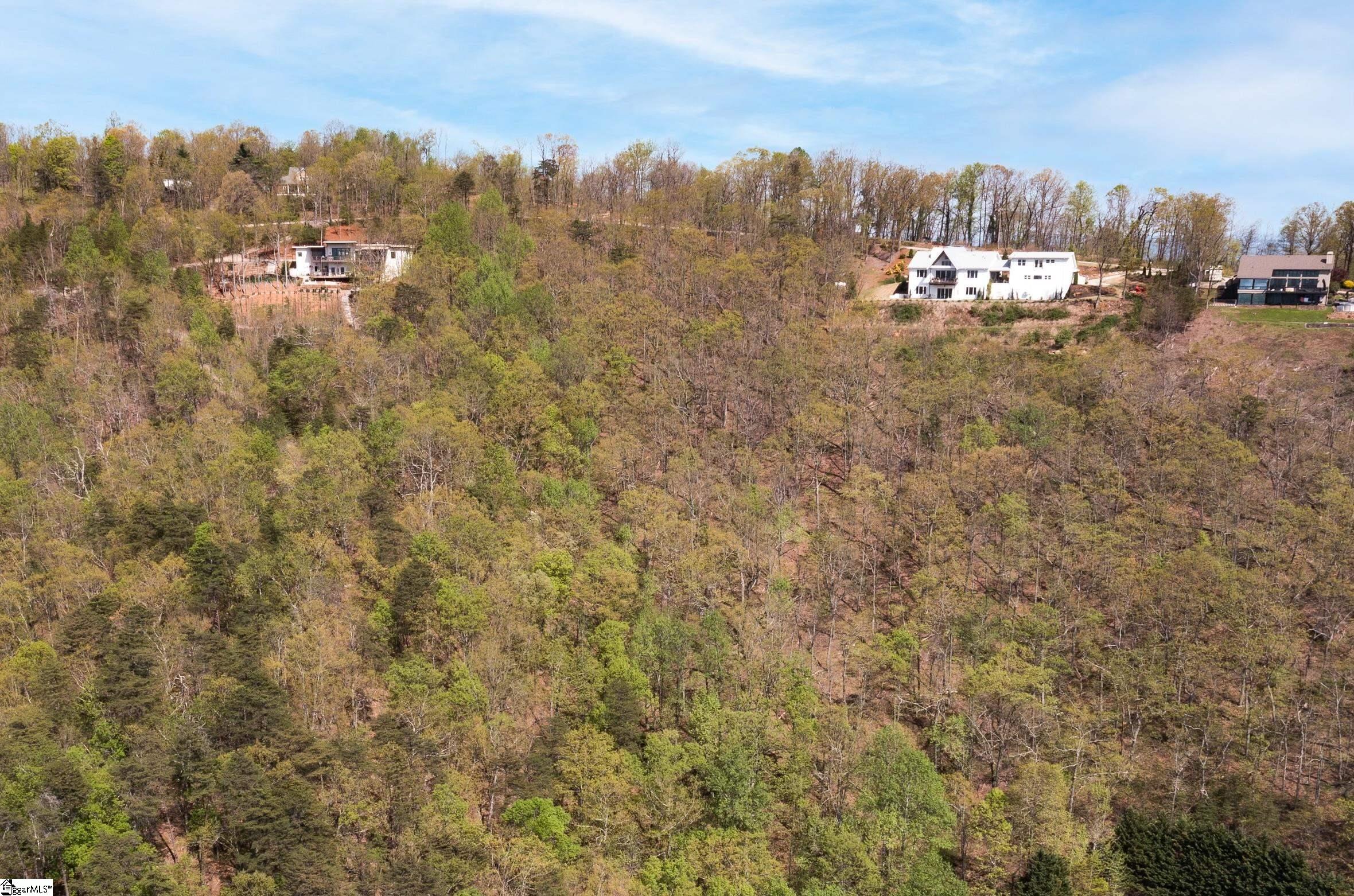Laurel Ridge Road Property Photo 5