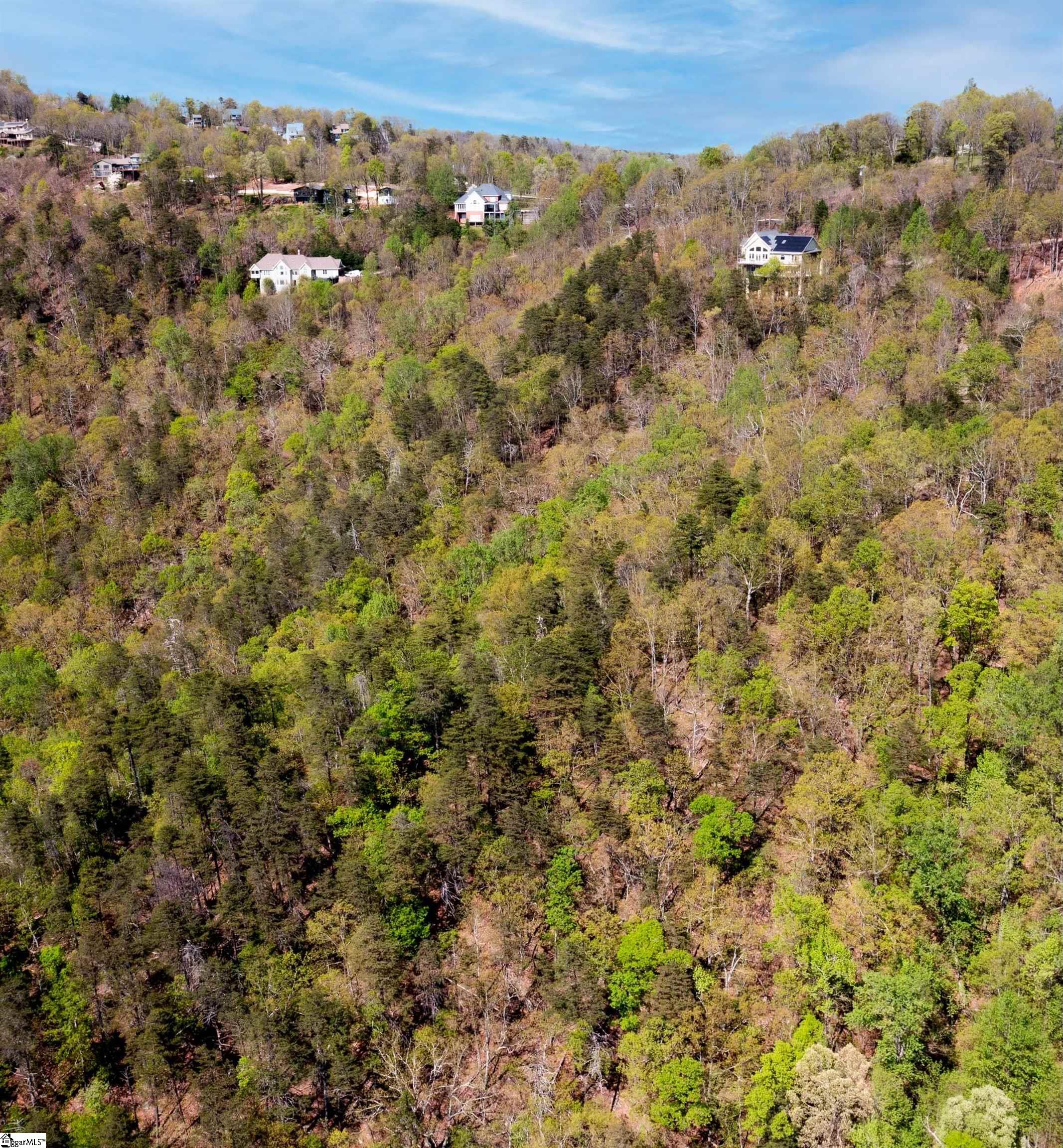 Laurel Ridge Road Property Photo 8