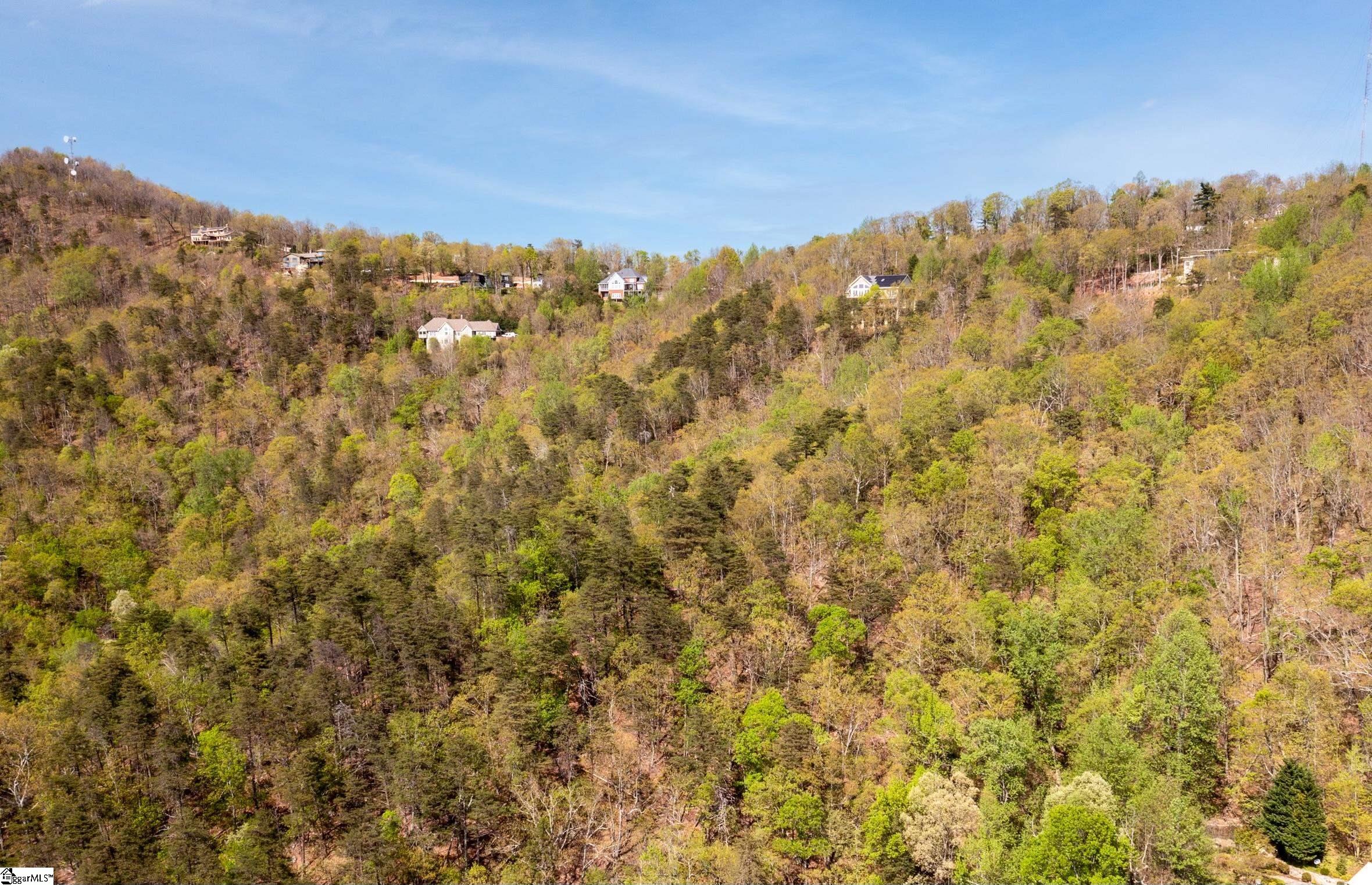 Laurel Ridge Road Property Photo 9