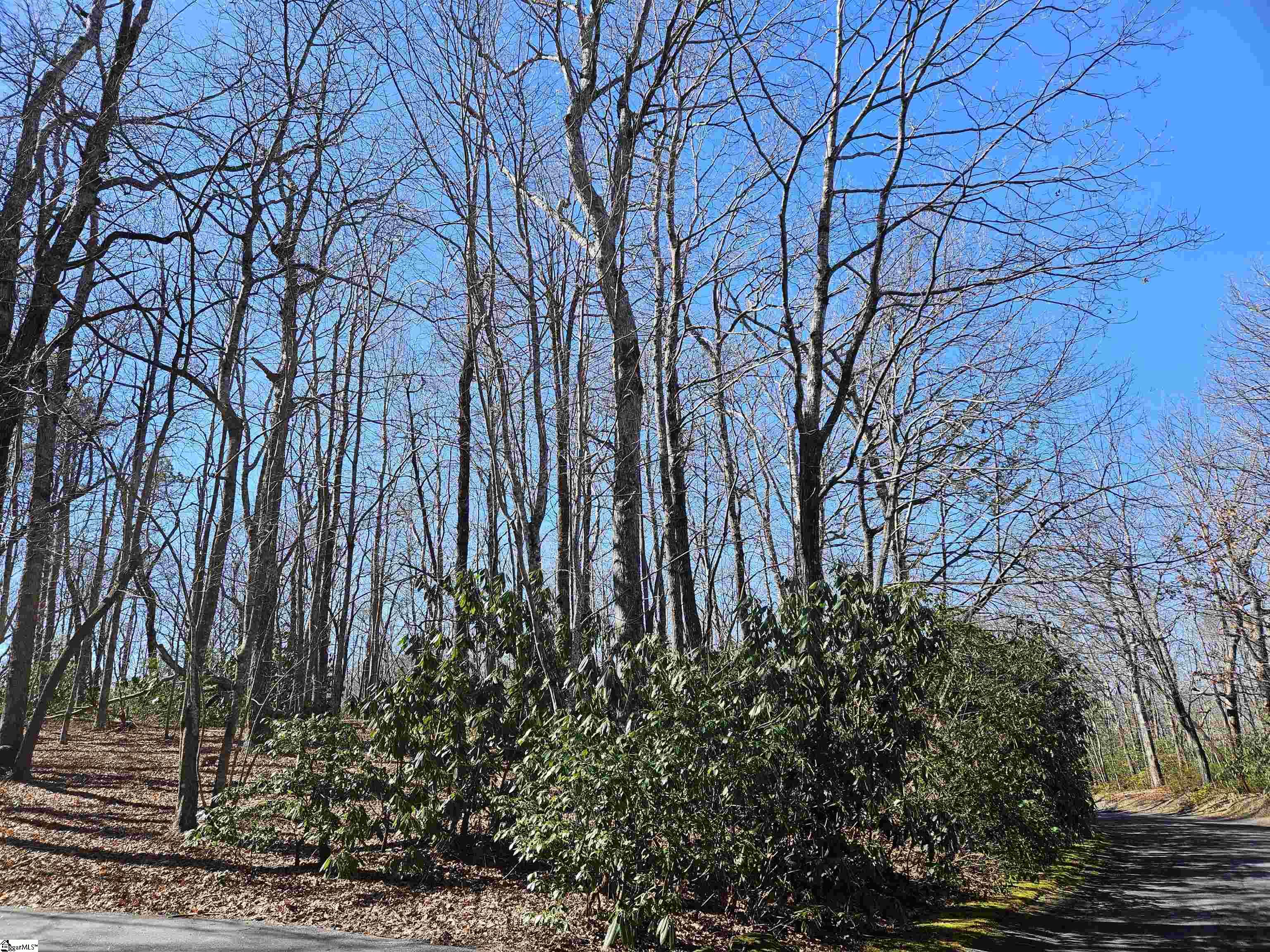 6 & 10 Larkspur Lane Property Photo 3