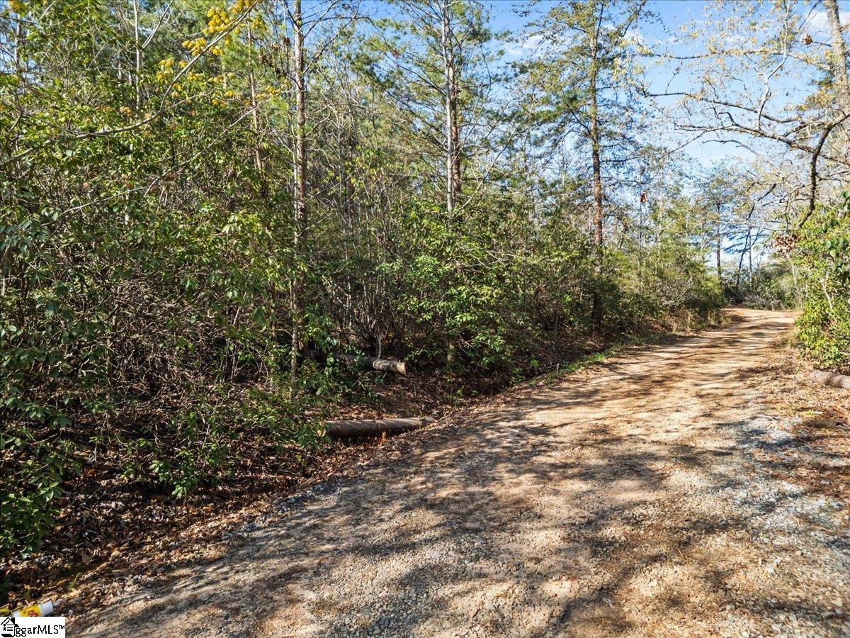 00 Red Bird Hill Lane Property Photo 2