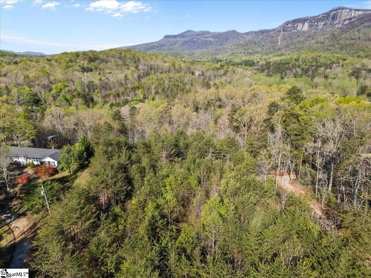 00 Red Bird Hill Lane Property Photo 12