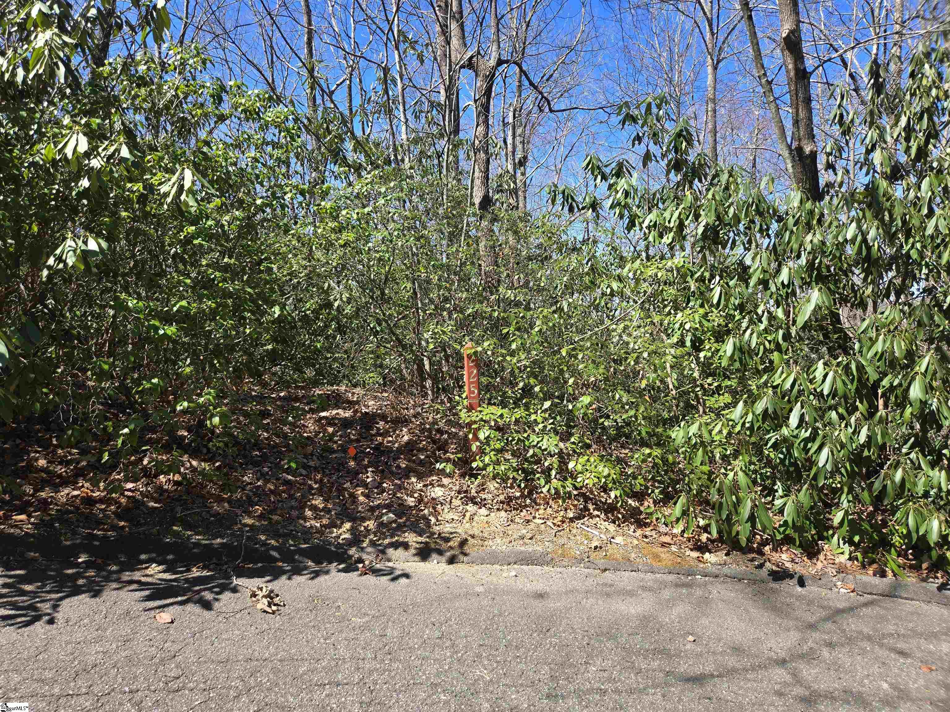 11 Larkspur Lane Property Photo