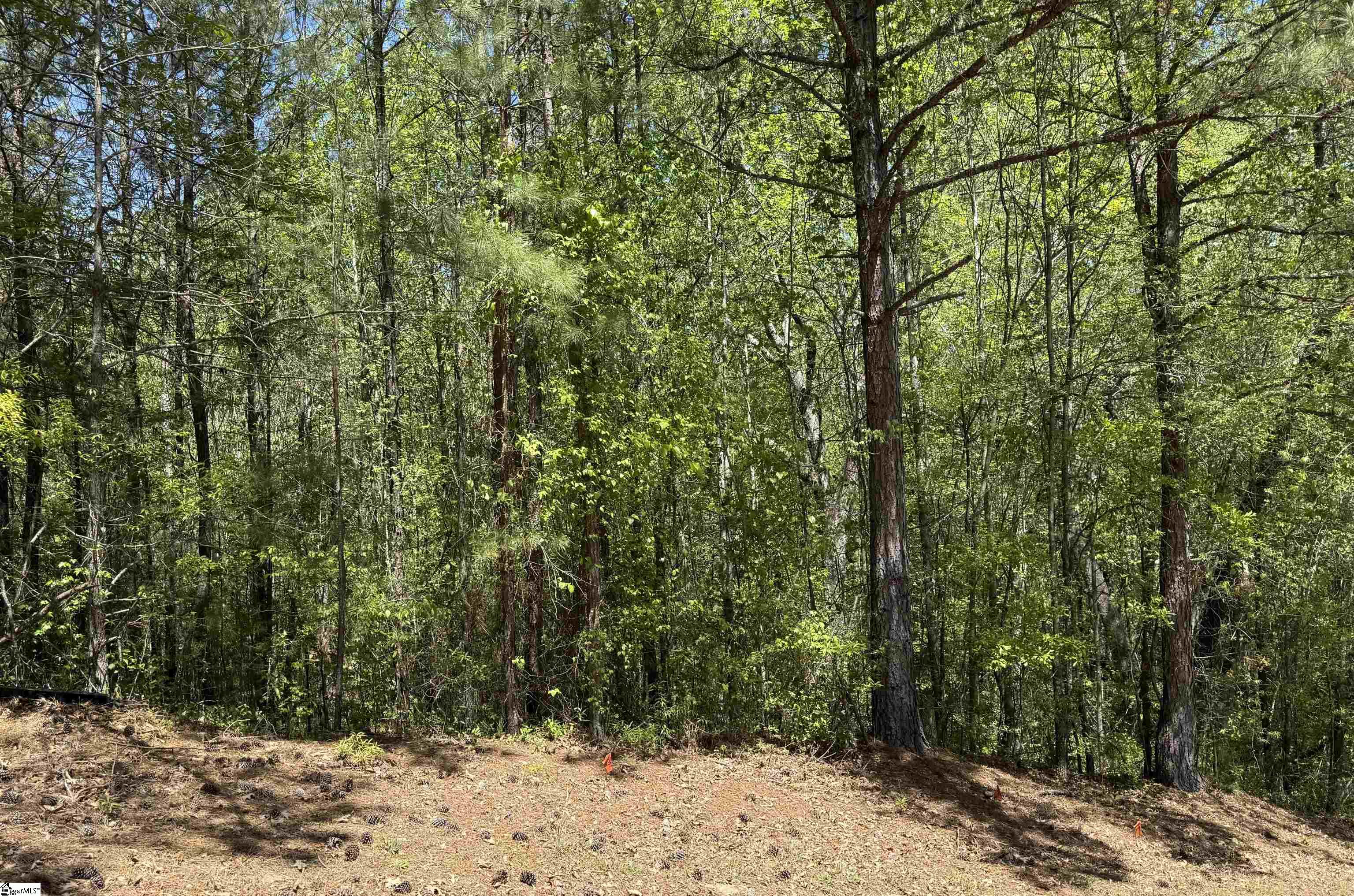 Six Mile Real Estate Listings Main Image