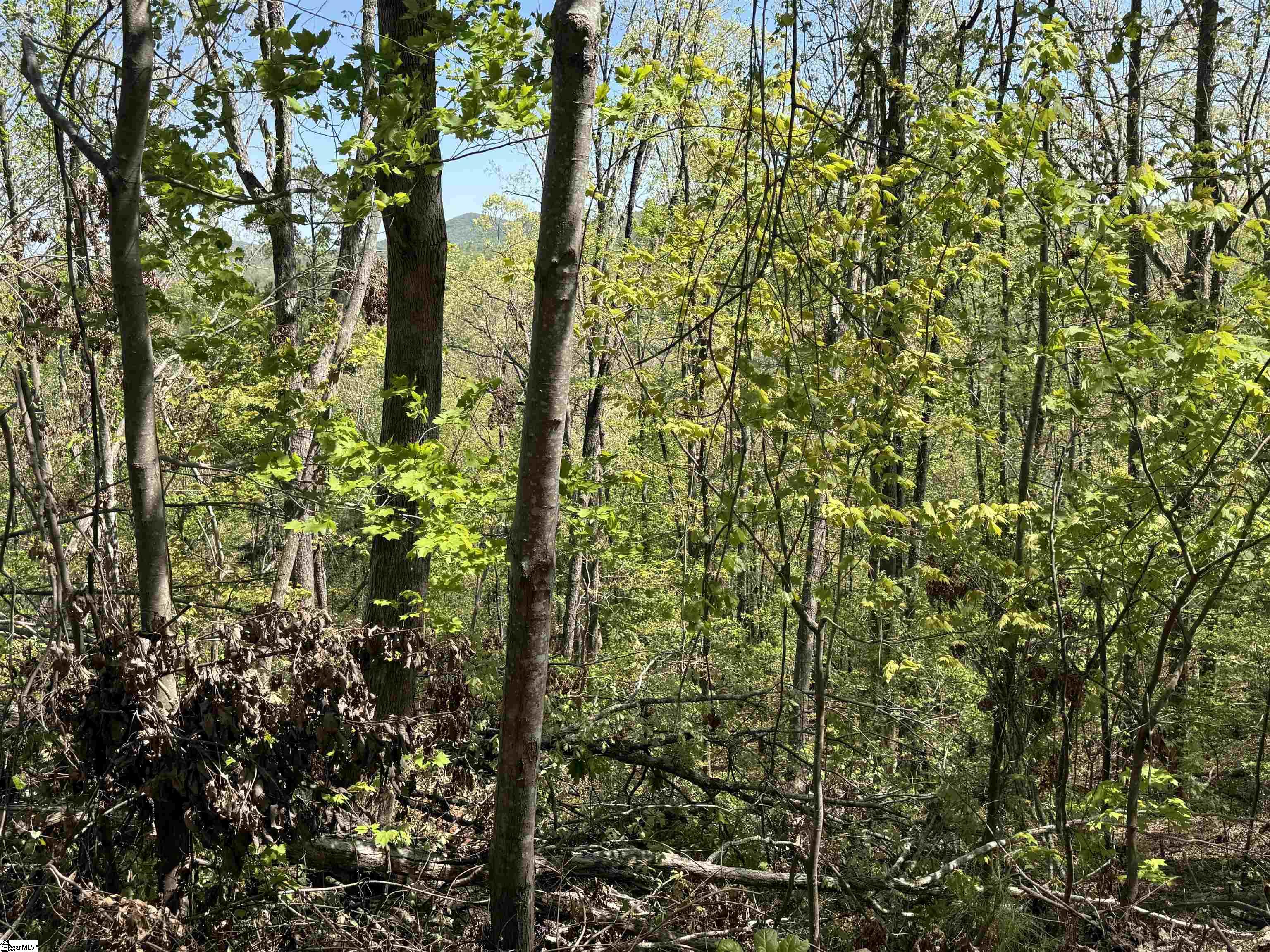 113 Stone Creek Court Property Photo