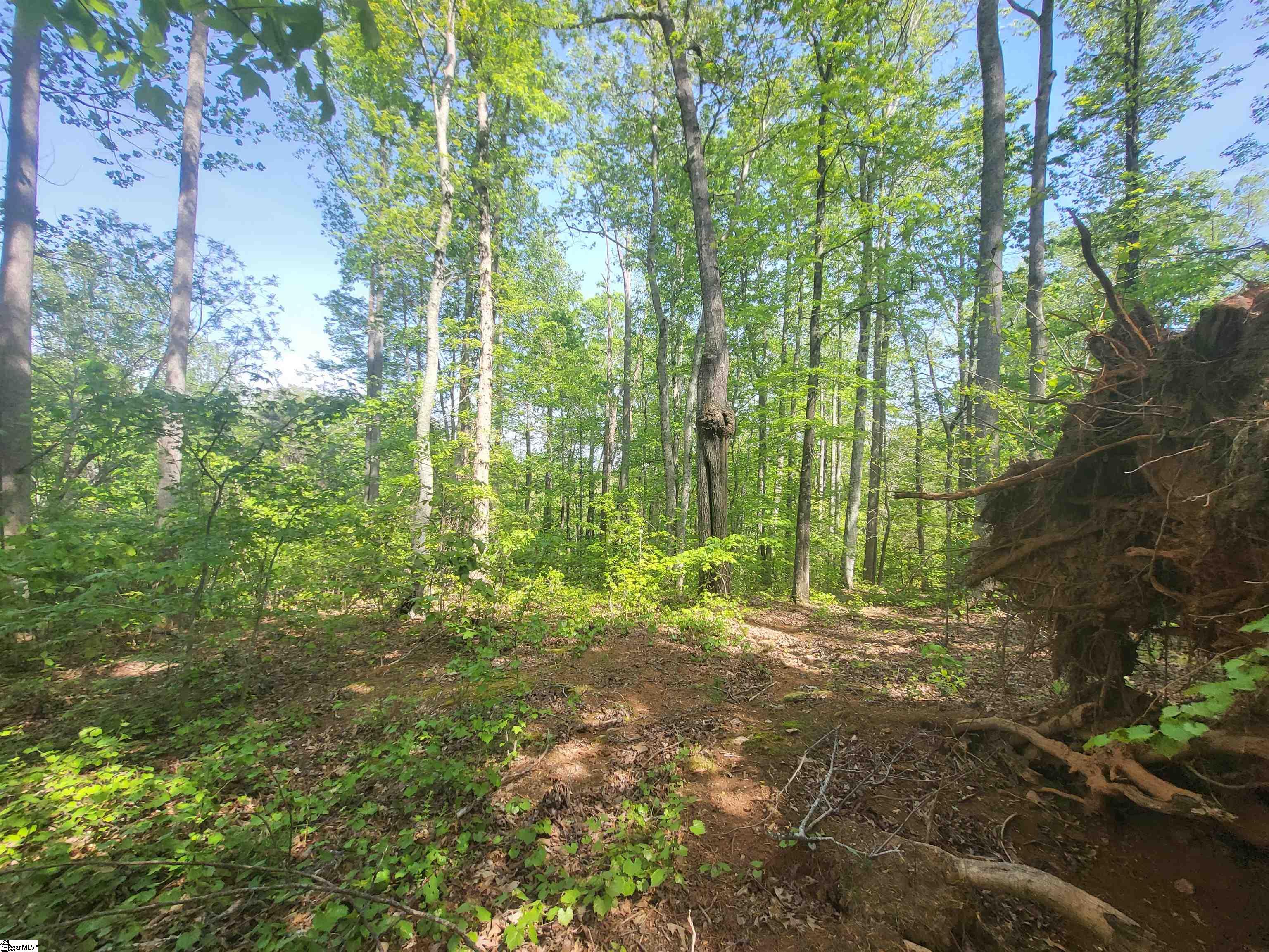 121 Laurel Valley Way Property Photo
