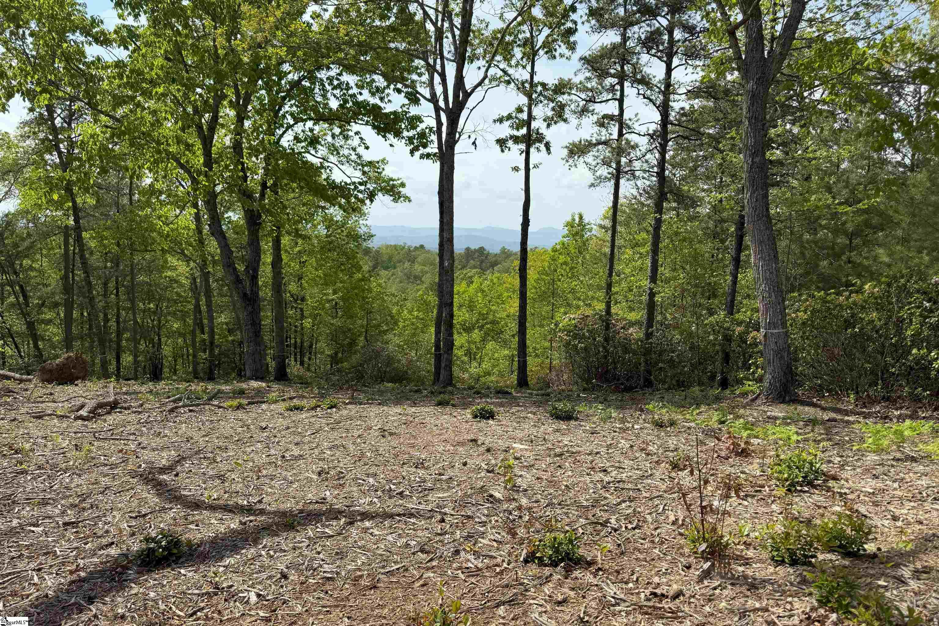 1554869 Property Photo