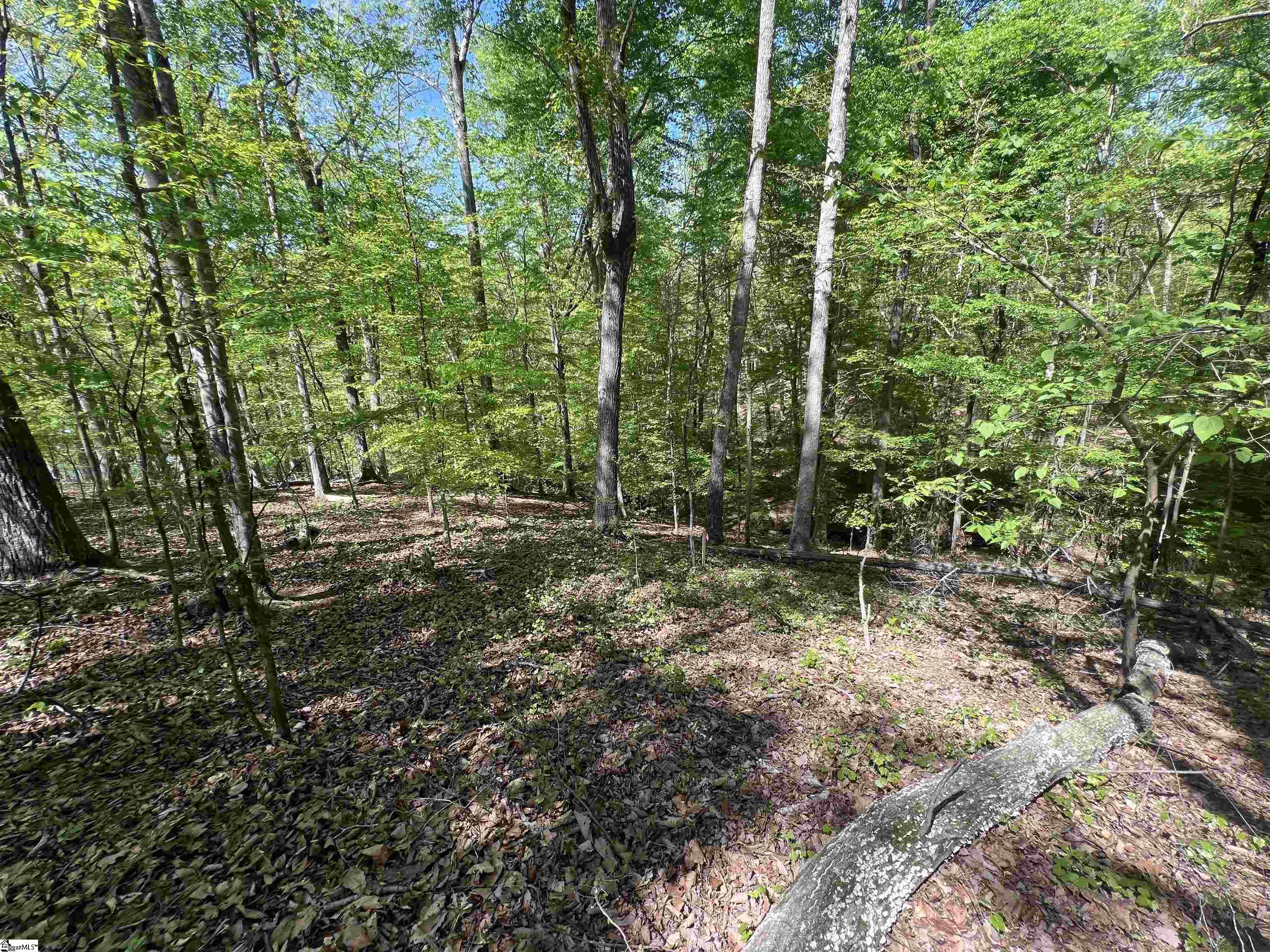 1826 S Arrowhead Drive Property Photo