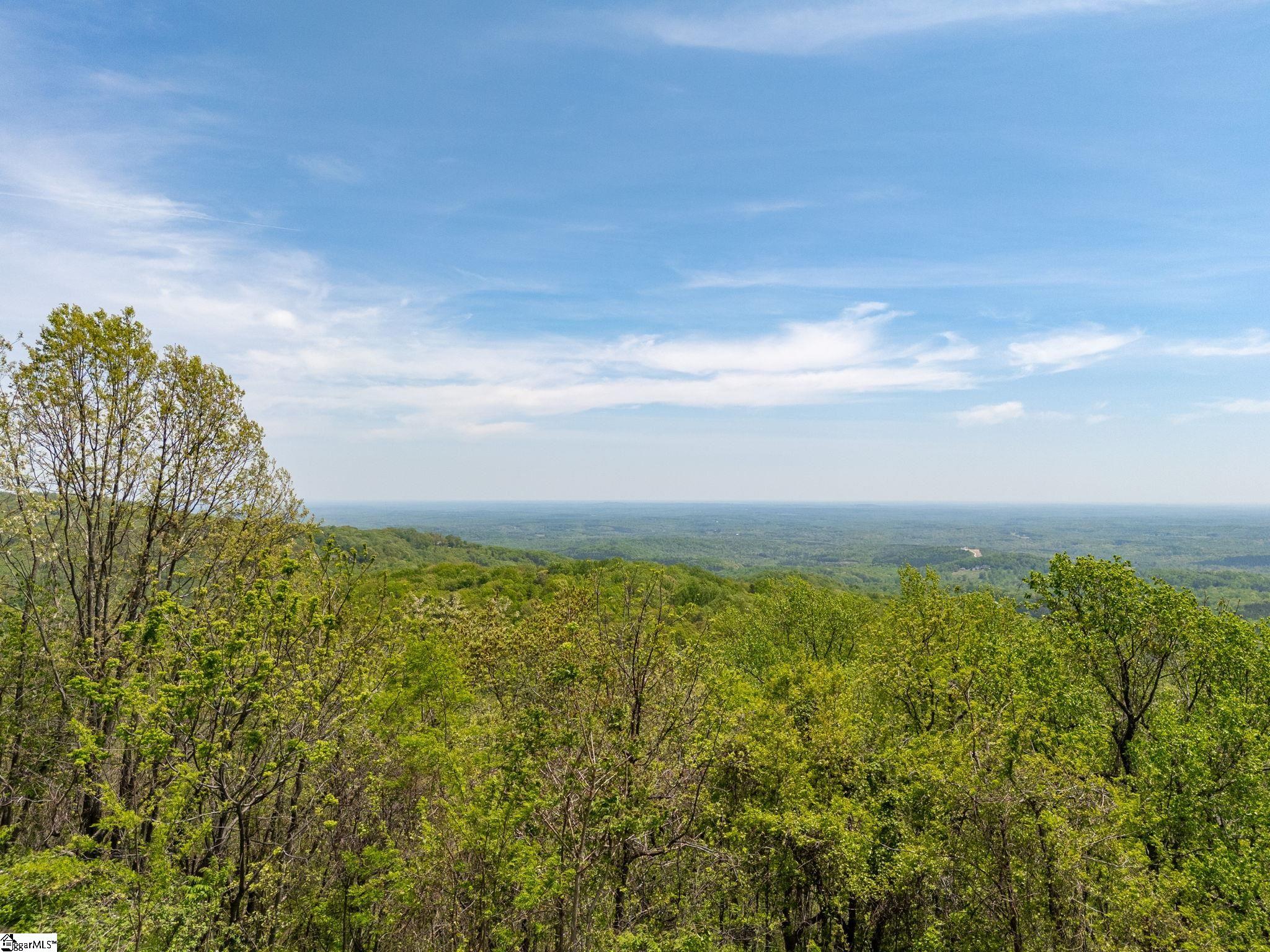 809 Plumley Summit Drive Property Photo 3