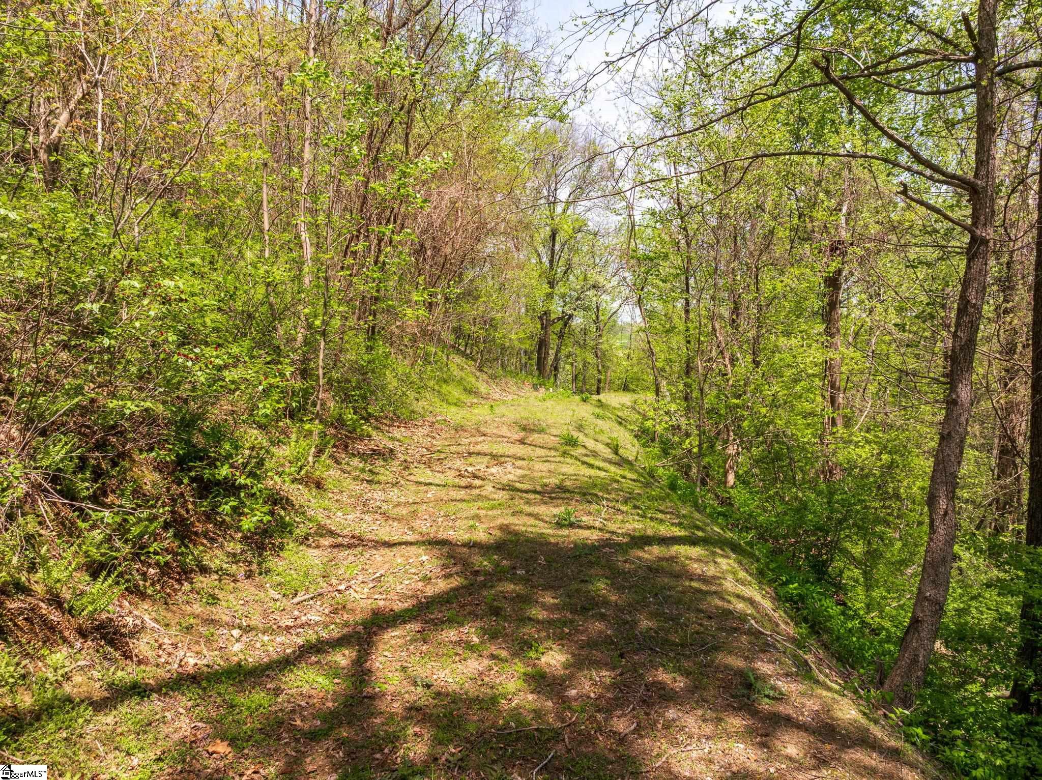 809 Plumley Summit Drive Property Photo 4