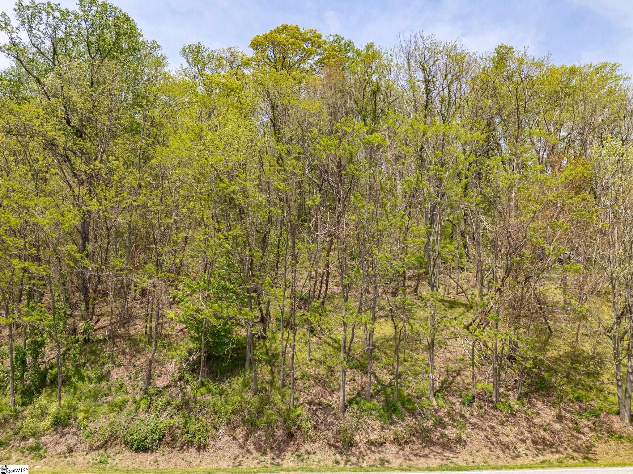 809 Plumley Summit Drive Property Photo 8