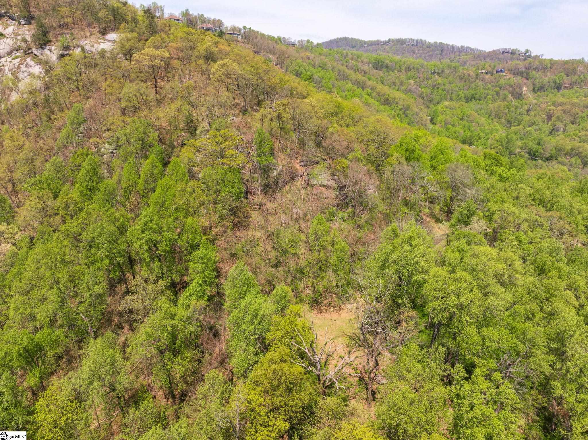 809 Plumley Summit Drive Property Photo 18
