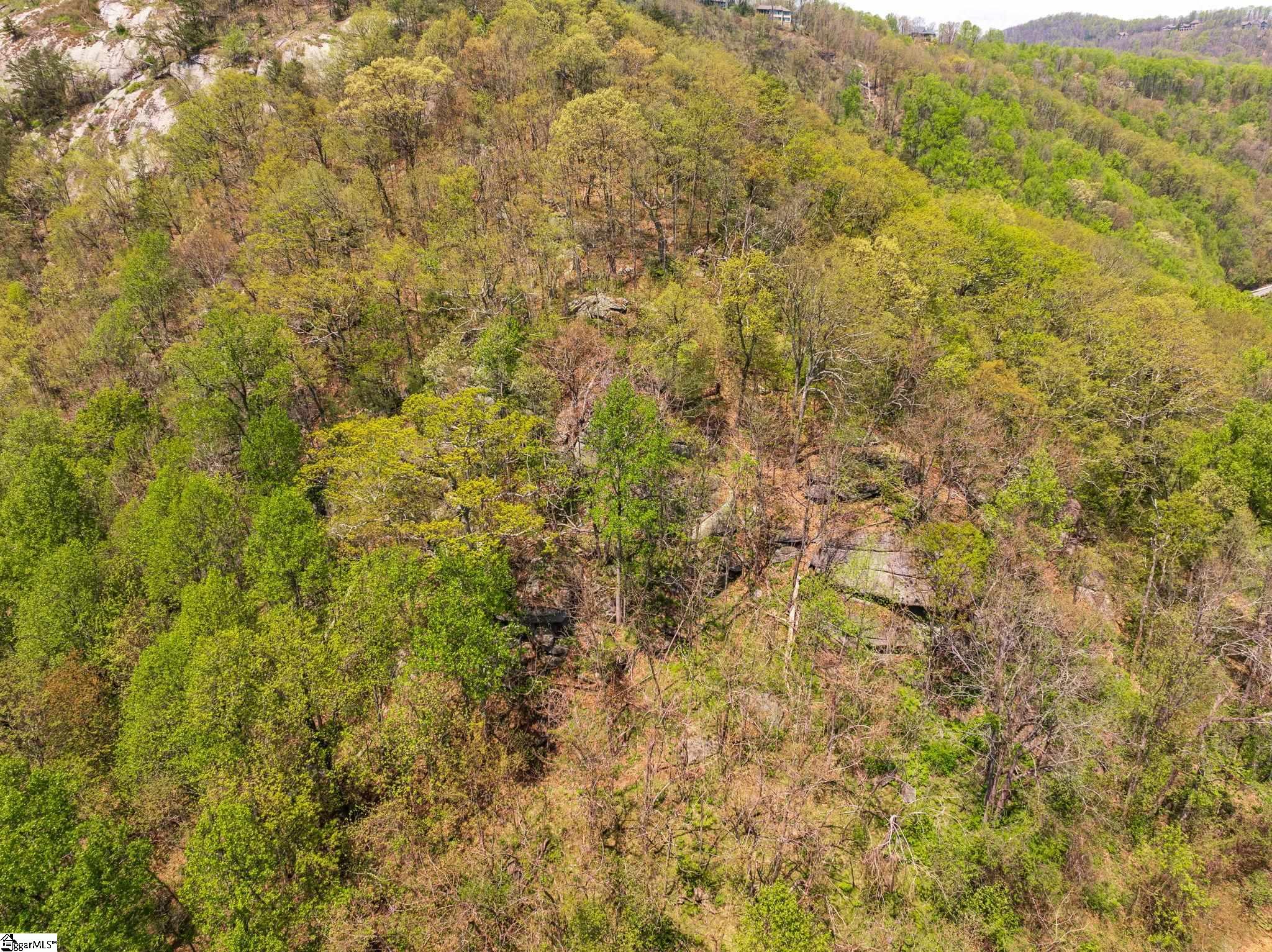 809 Plumley Summit Drive Property Photo 21