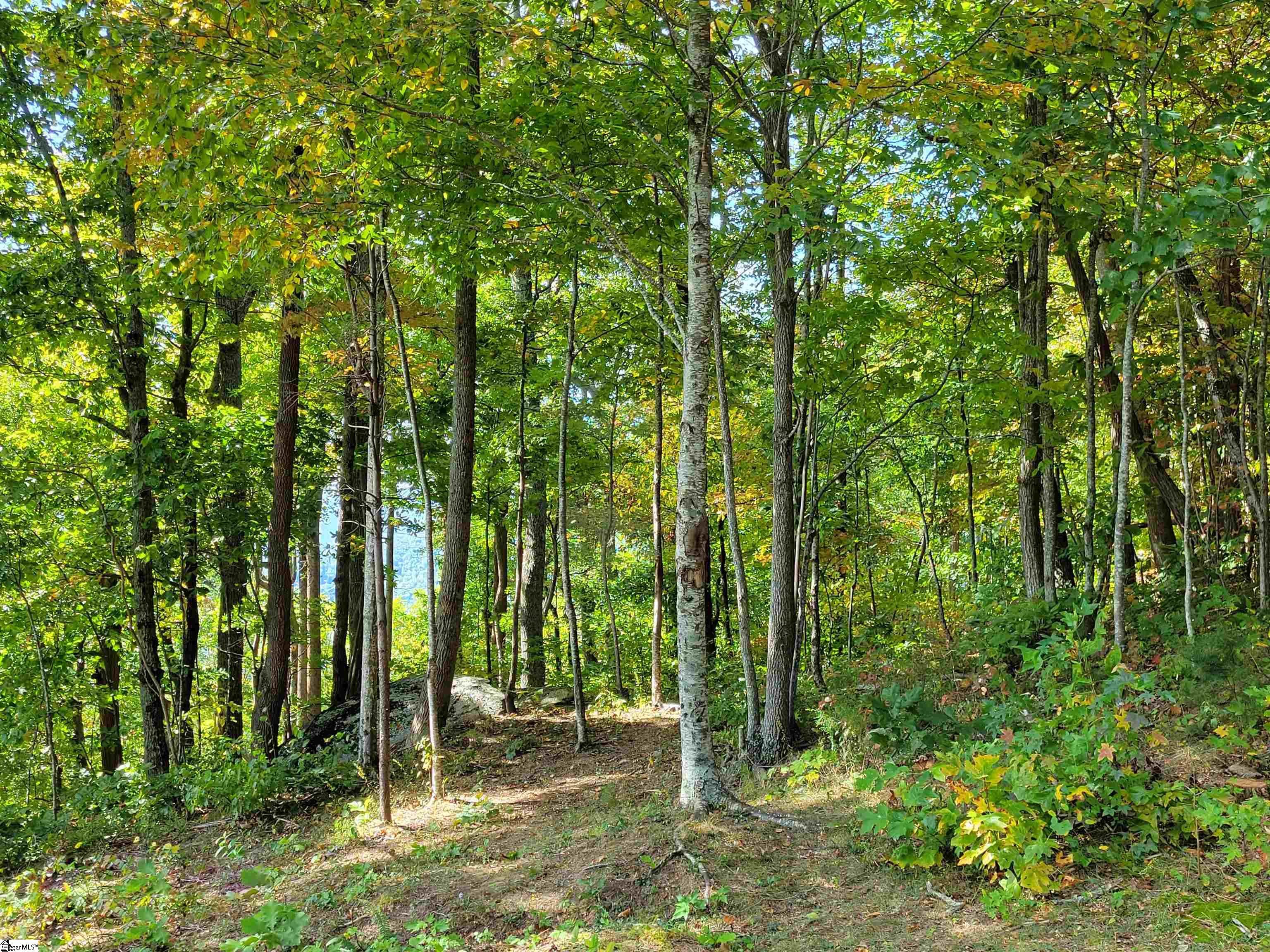 8 Pine Shadow Lane Property Photo 7