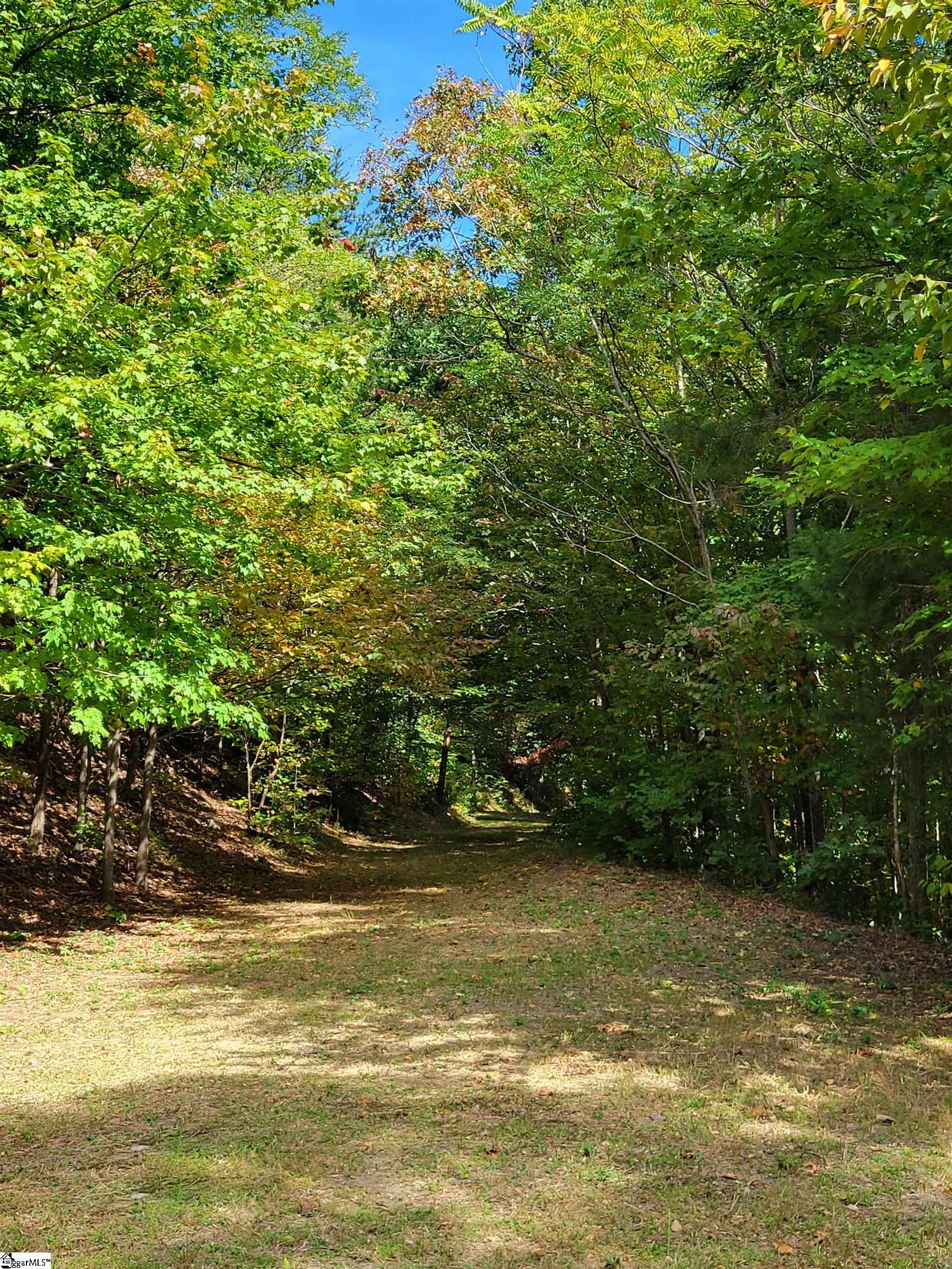 8 Pine Shadow Lane Property Photo 8