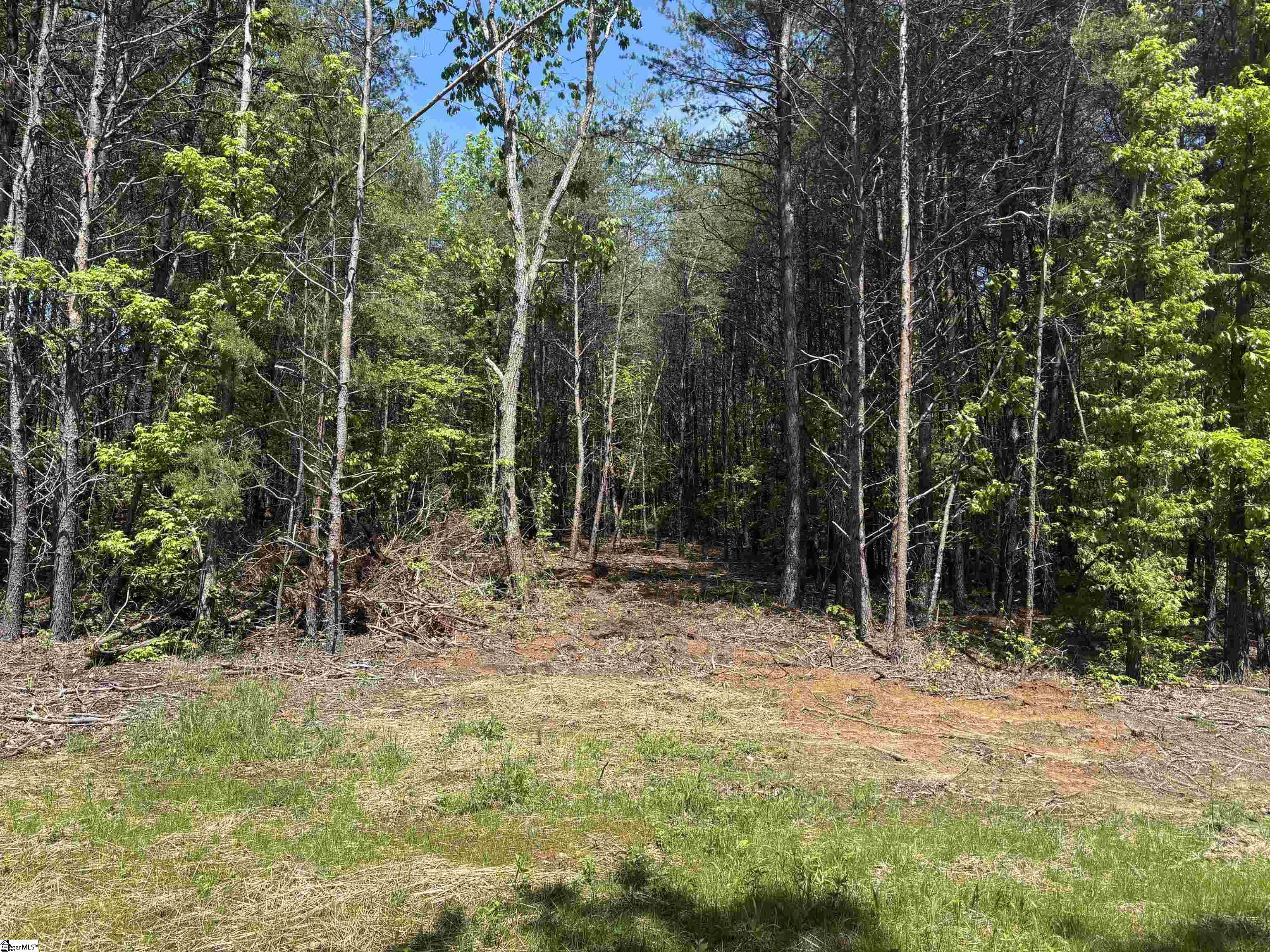 1940 Pleasant Hill Road Property Photo 5