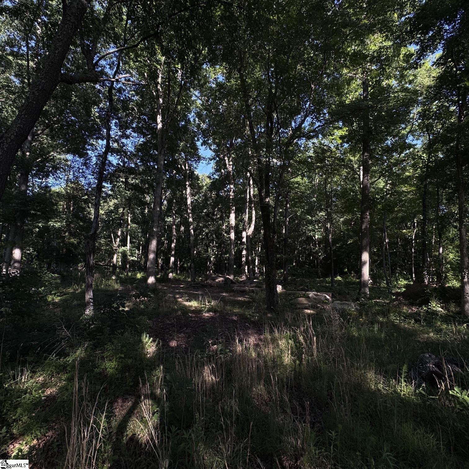 3759 417 Highway Property Photo 5