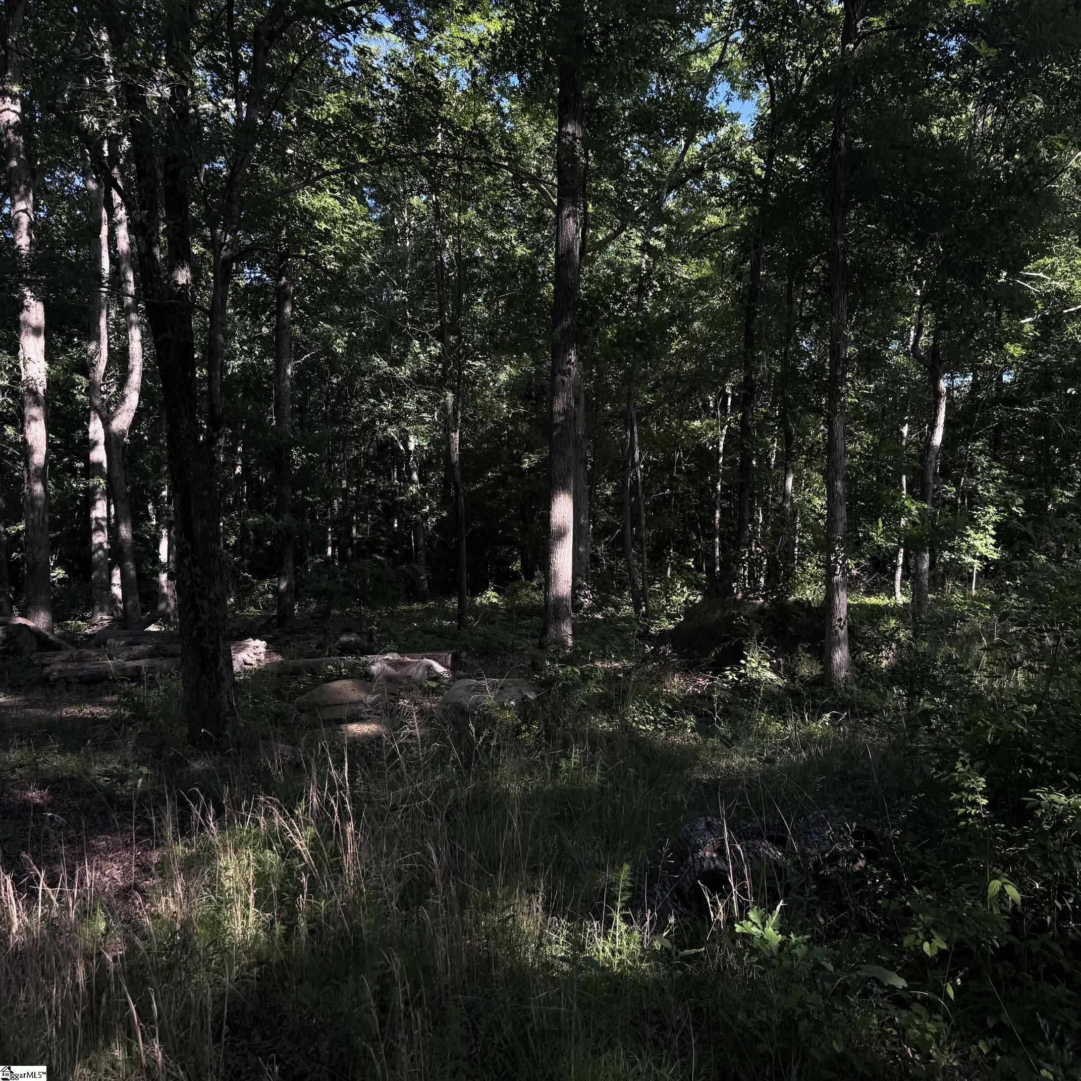 3759 417 Highway Property Photo 6