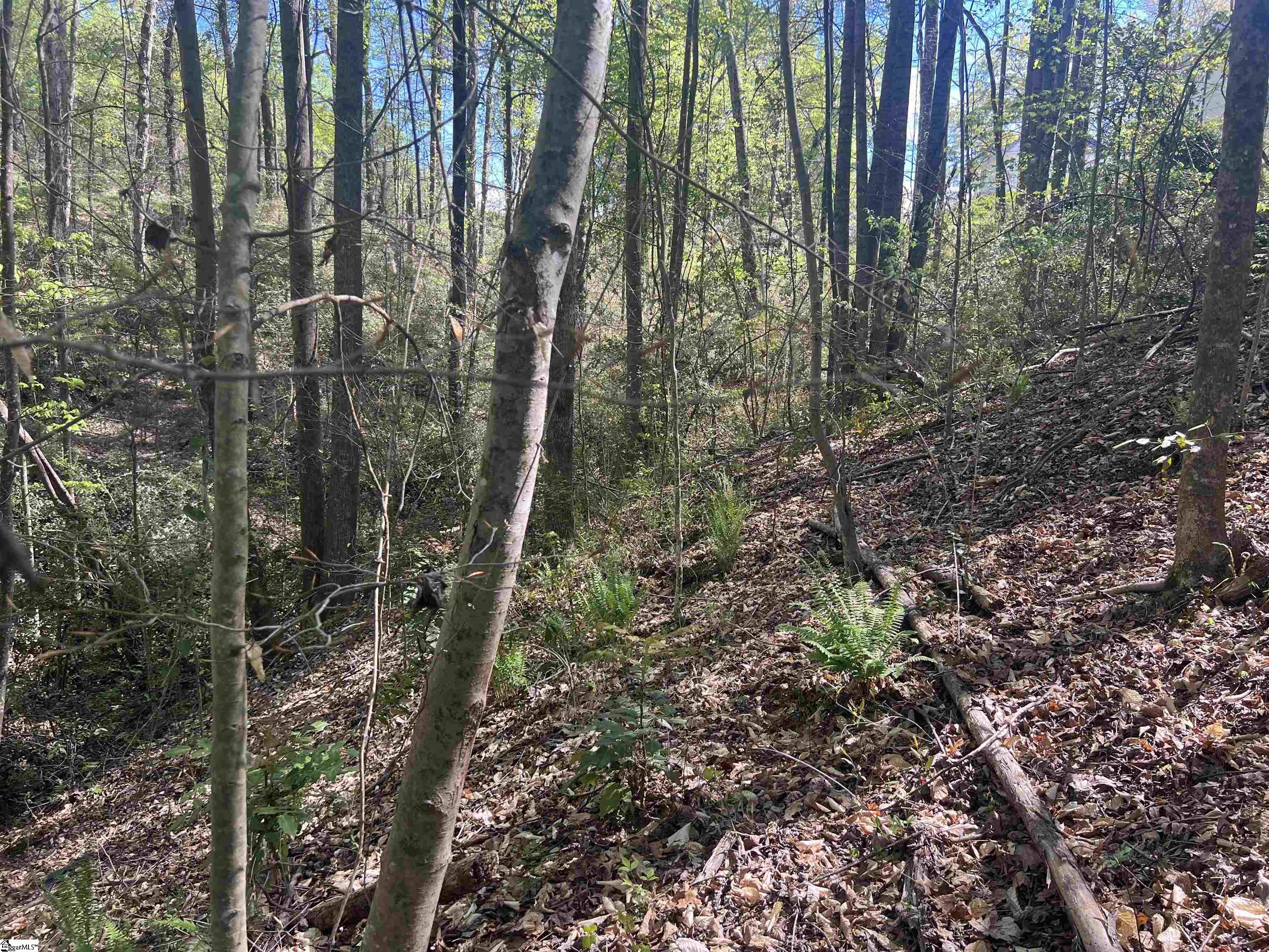00 76 Highway Property Photo 23