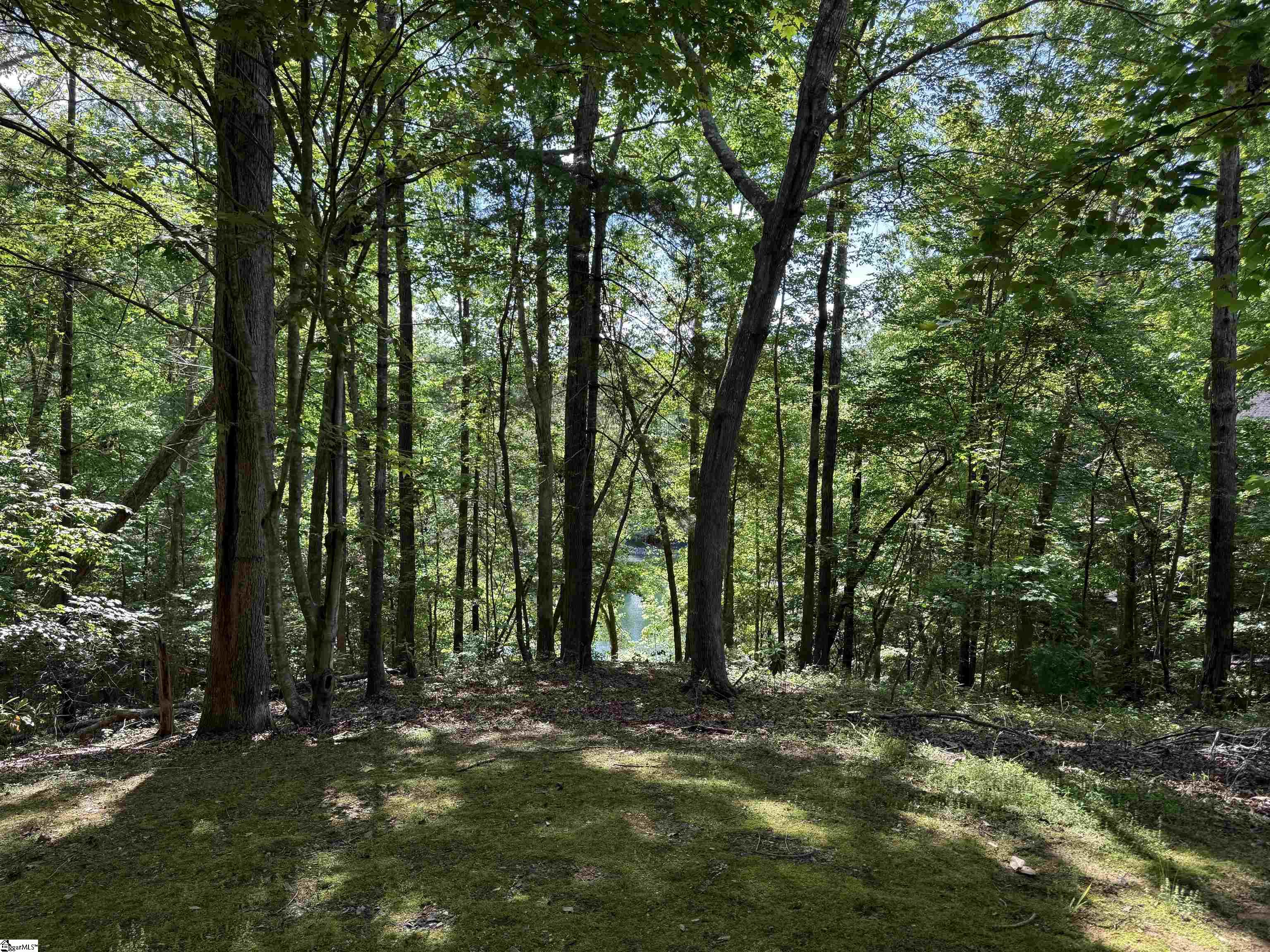 1556866 Property Photo