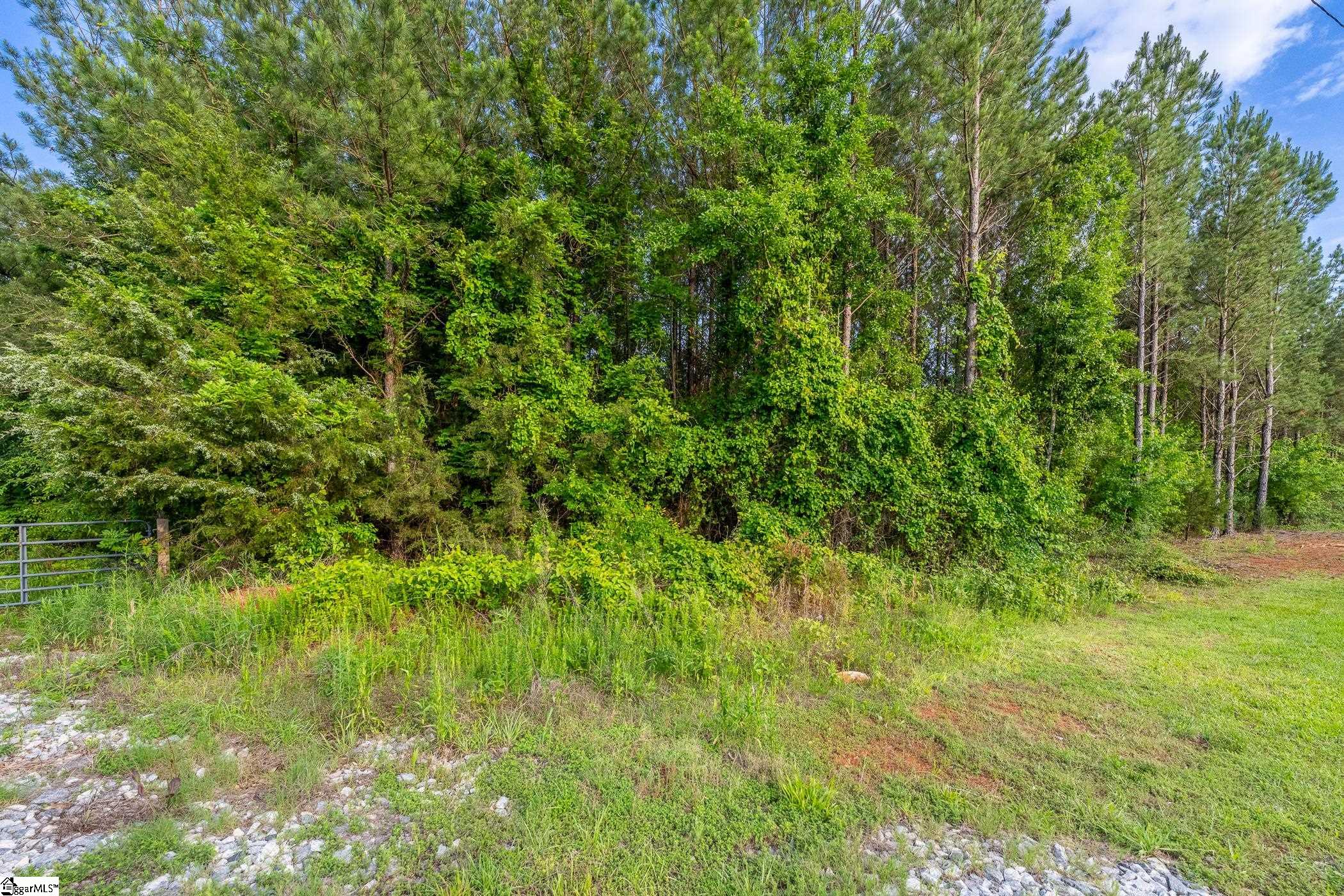 11277 Highway 221 S Property Photo 2