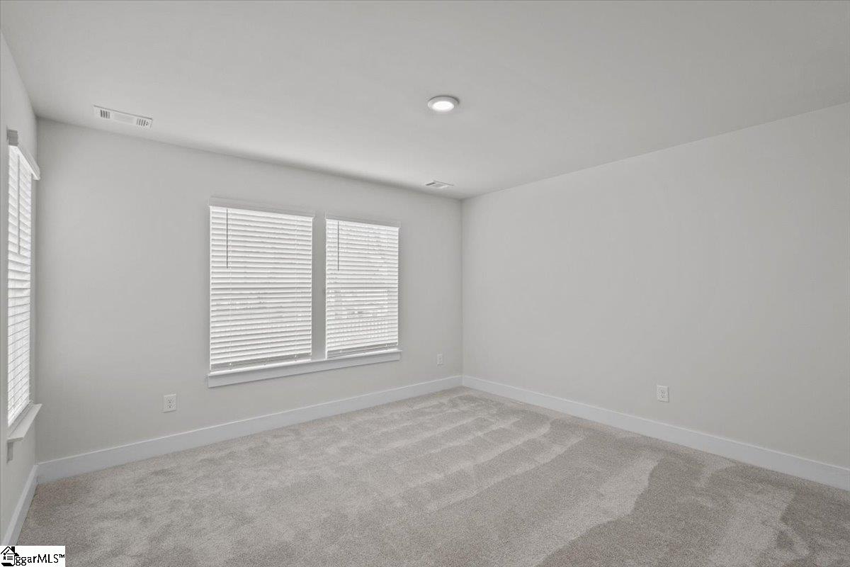 229 Telluride Way Property Photo 19