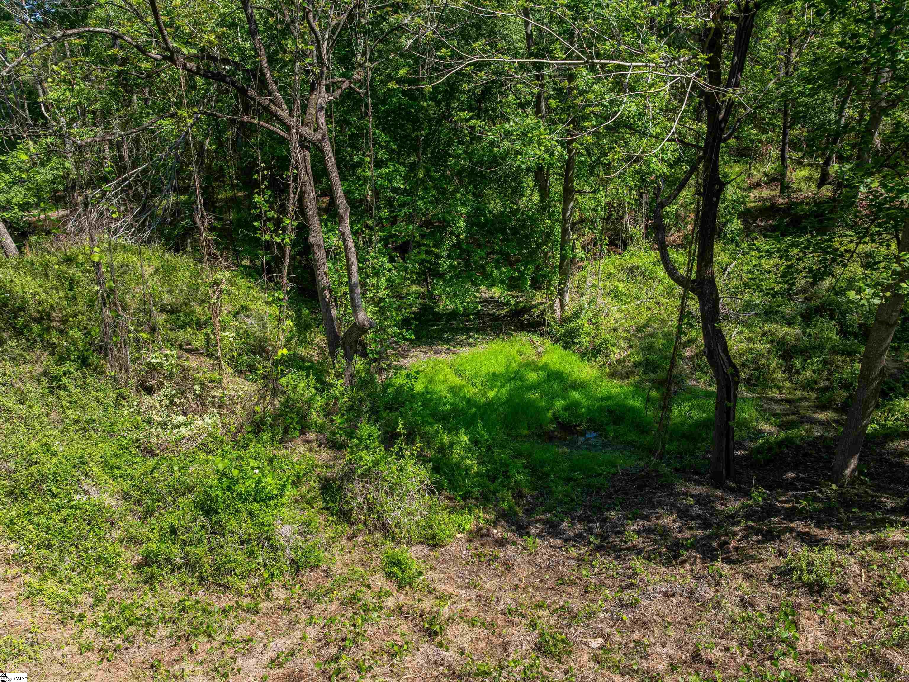 11 Moorefield Memorial Highway Property Photo 29