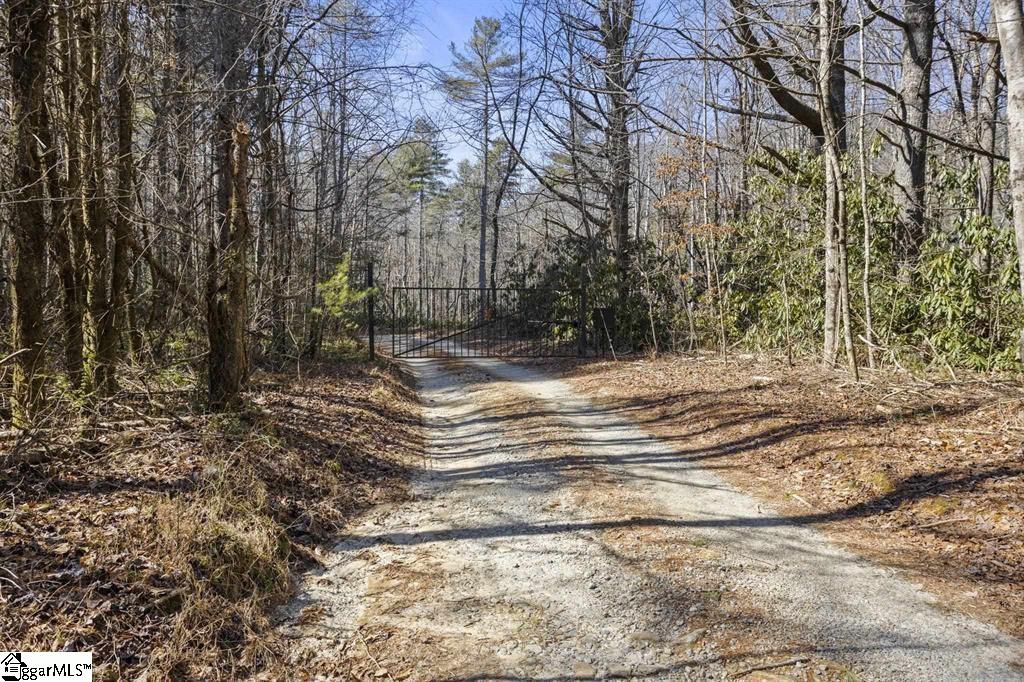3772 Bear Paw Ridge Road Property Photo 1