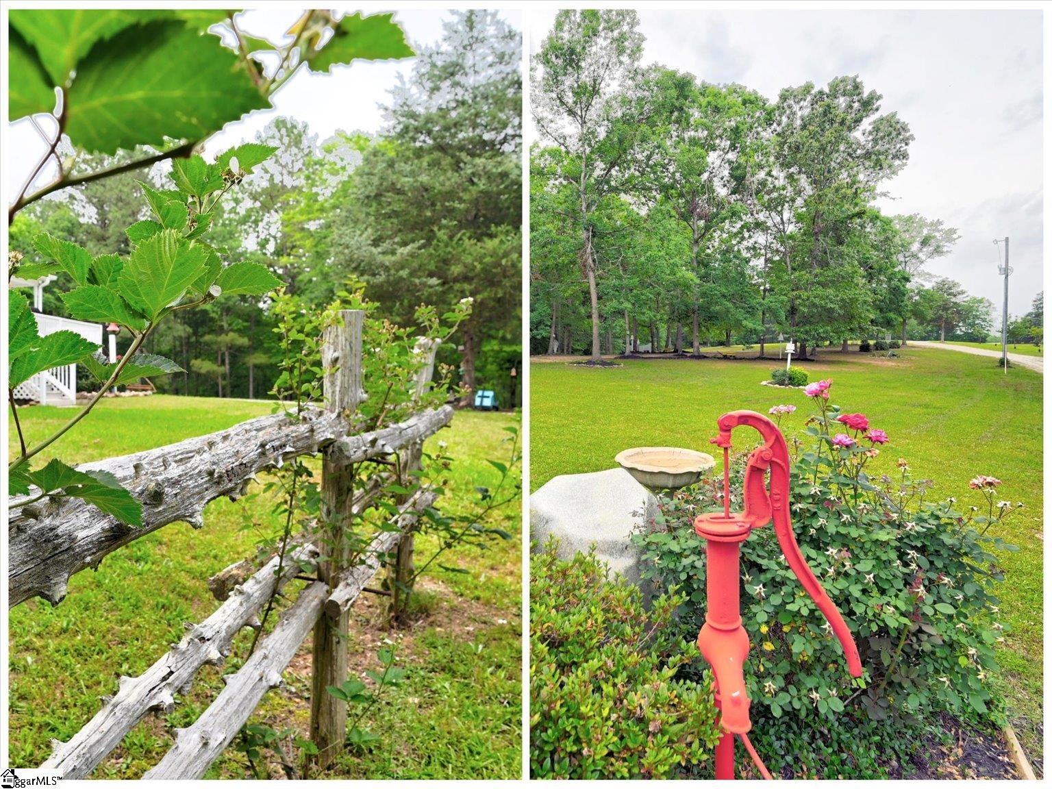 833 Duncan Creek Church Road Property Photo 44