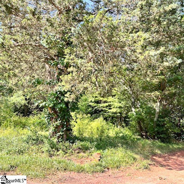 3506 State Park Road Property Photo