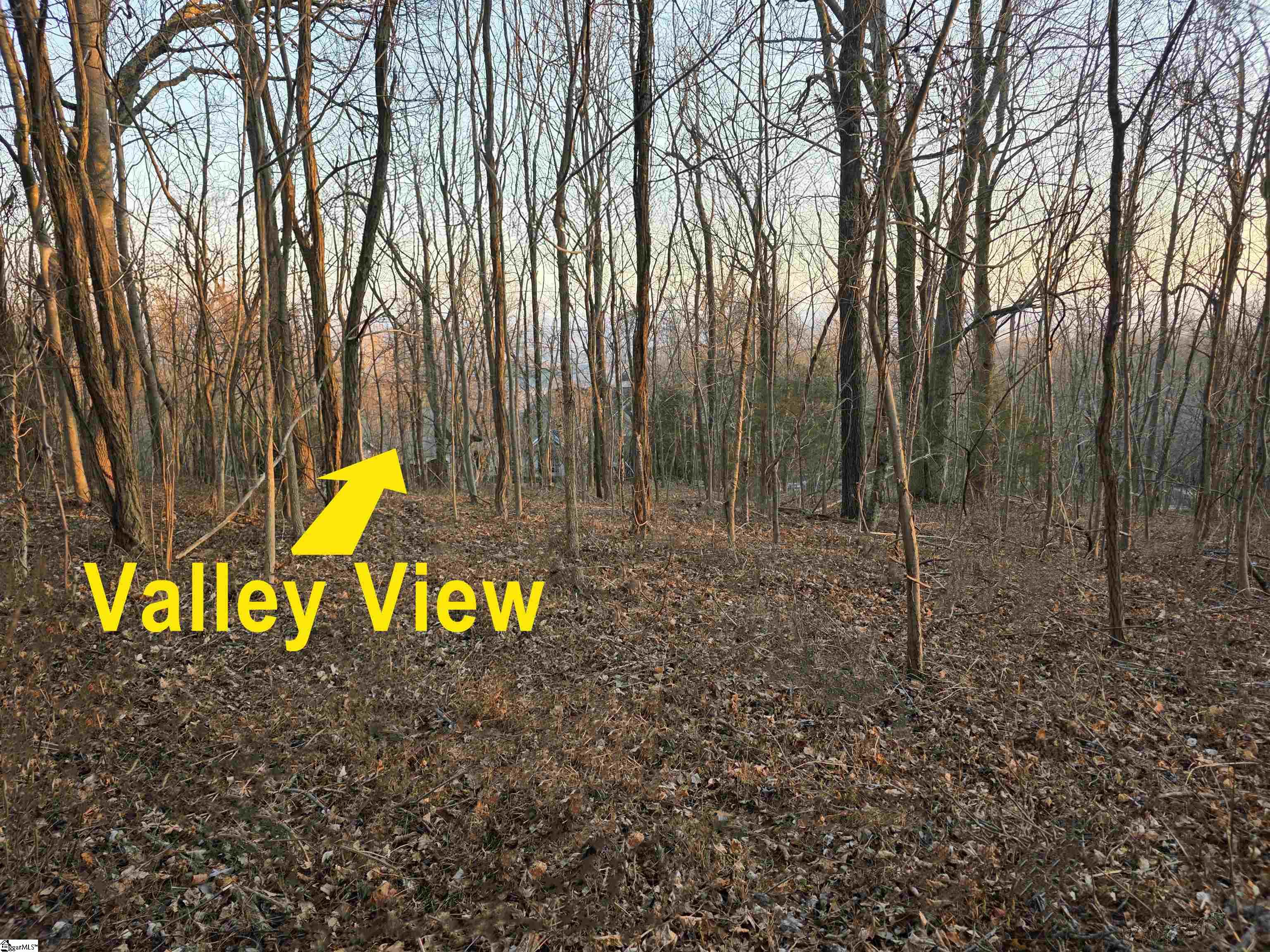 39 Raptor Way Property Photo 12