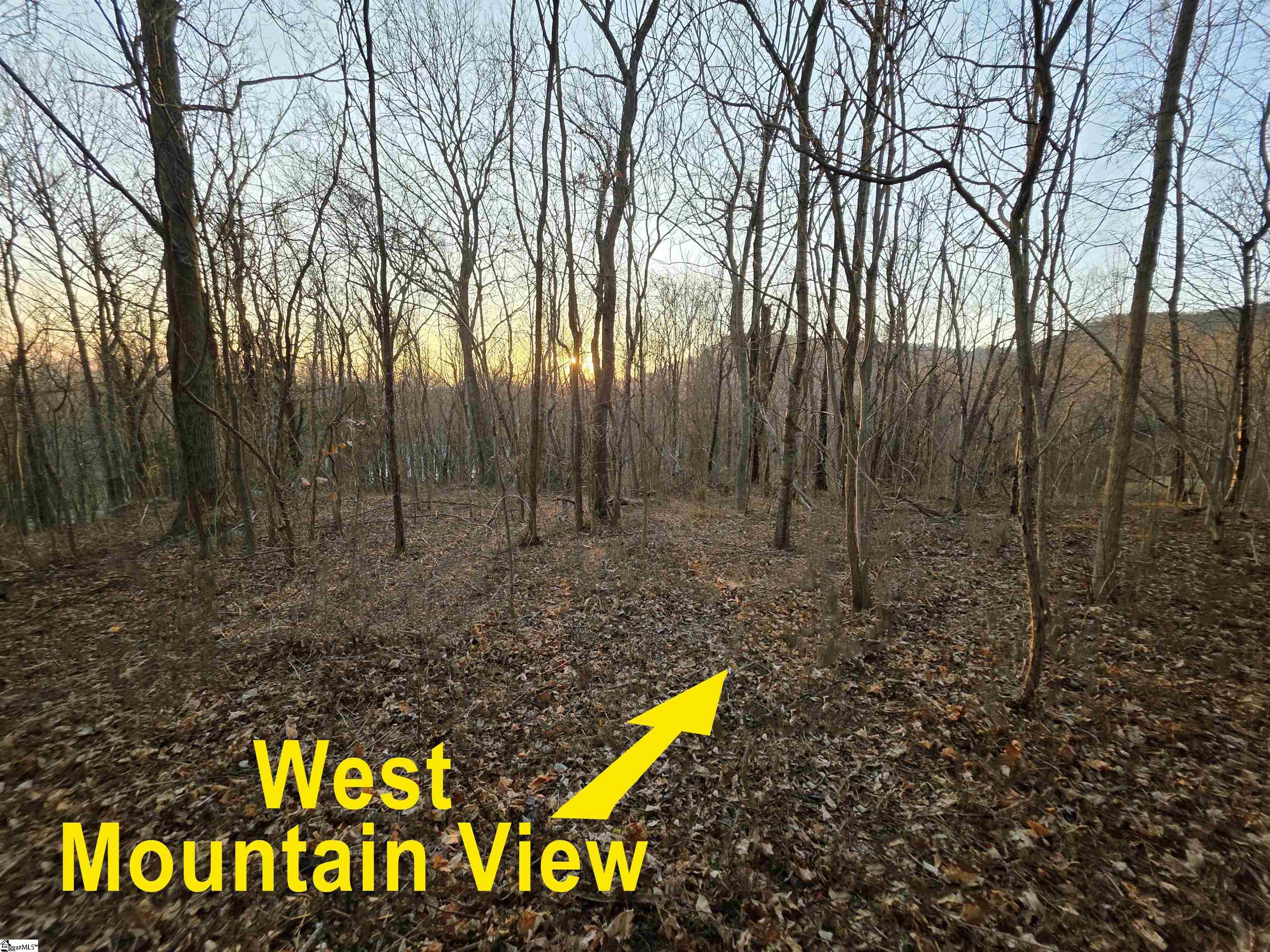 39 Raptor Way Property Photo 13