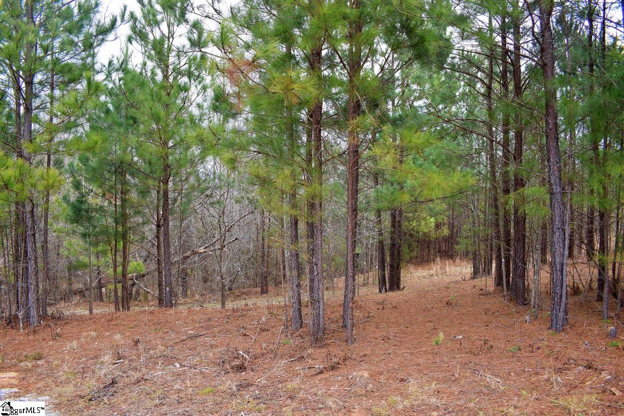 101 Lord Byron Lane Property Photo 1