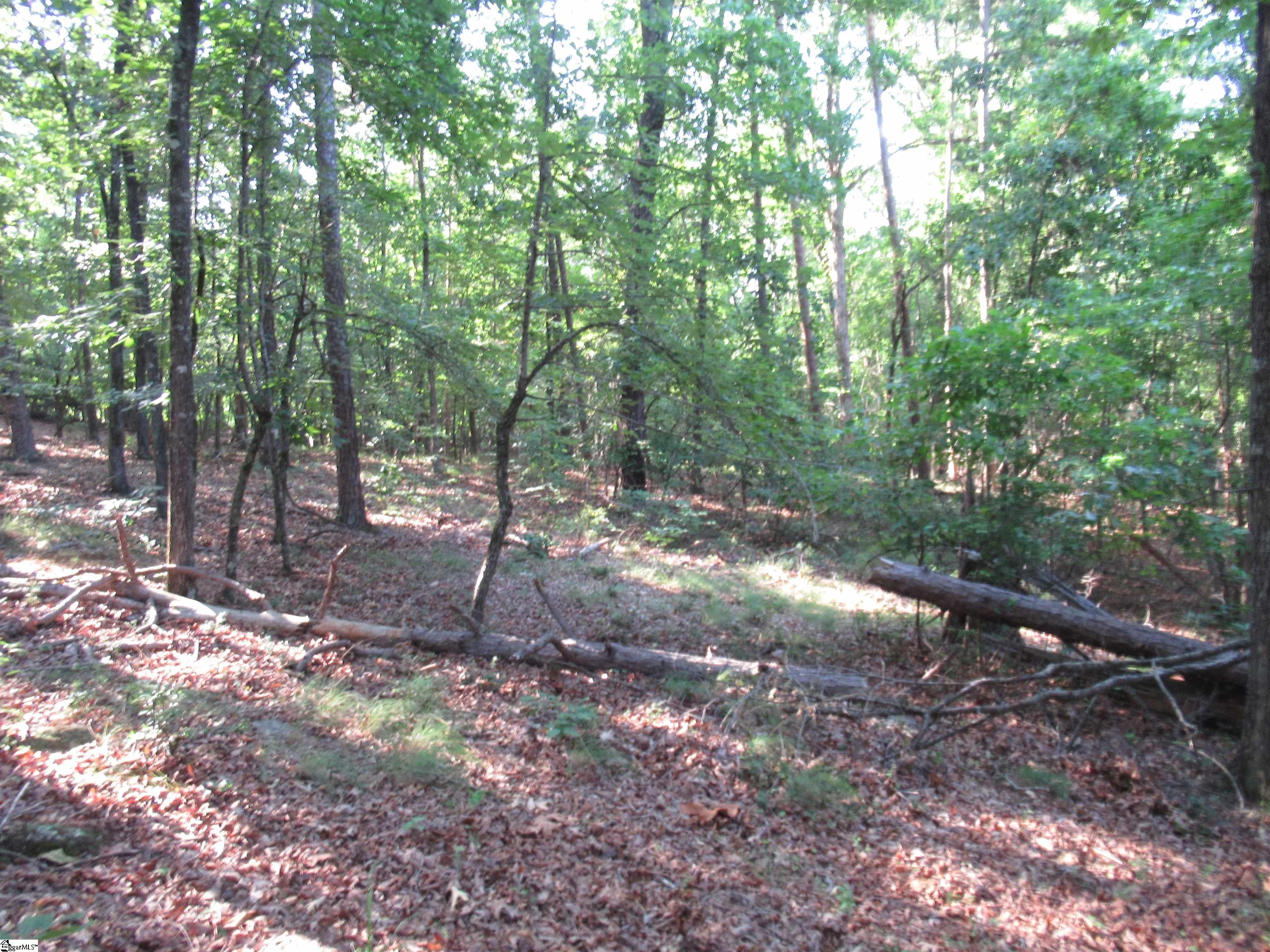 00 Murphy Road Property Photo