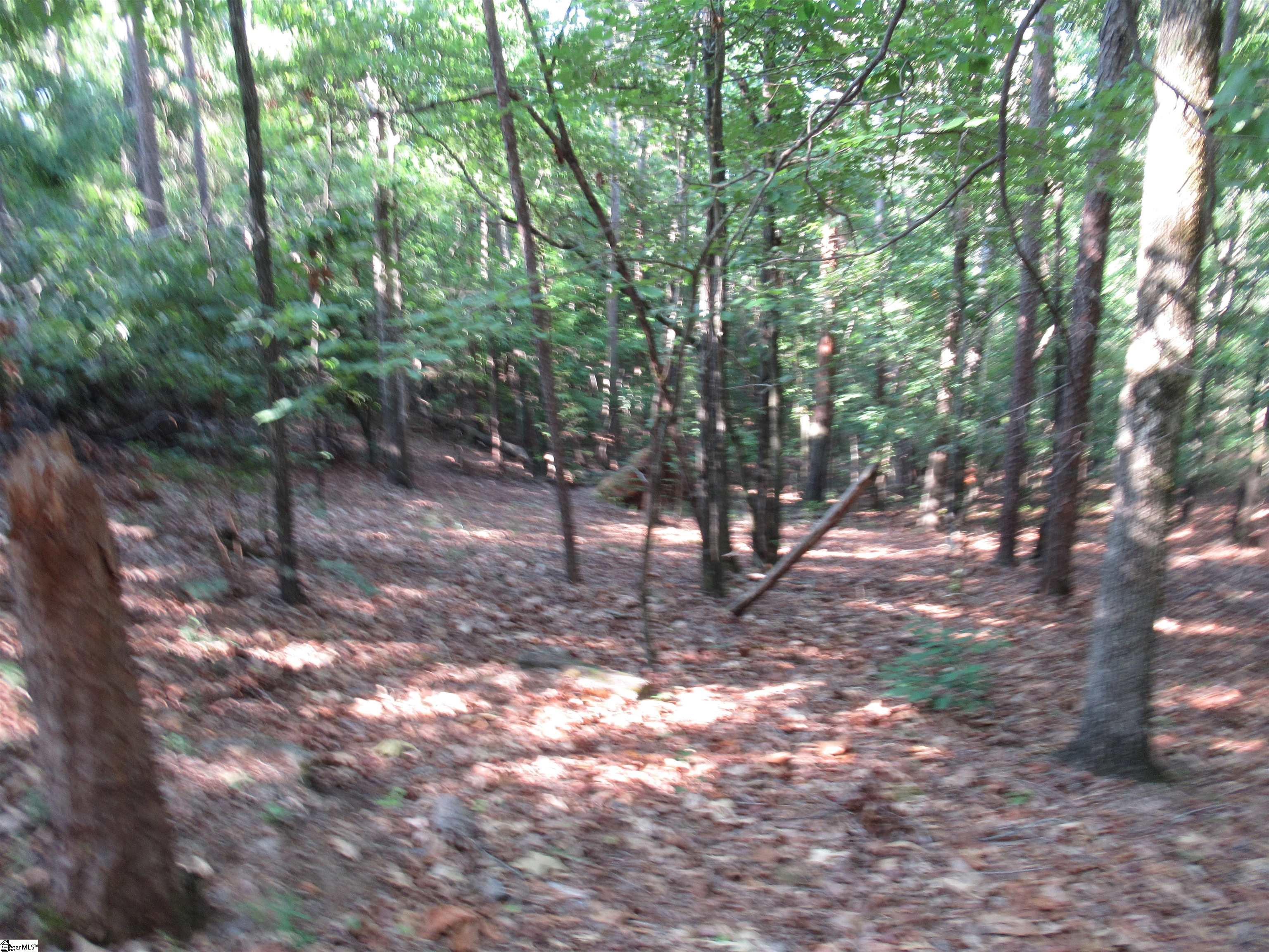 00 Murphy Road Property Photo 10