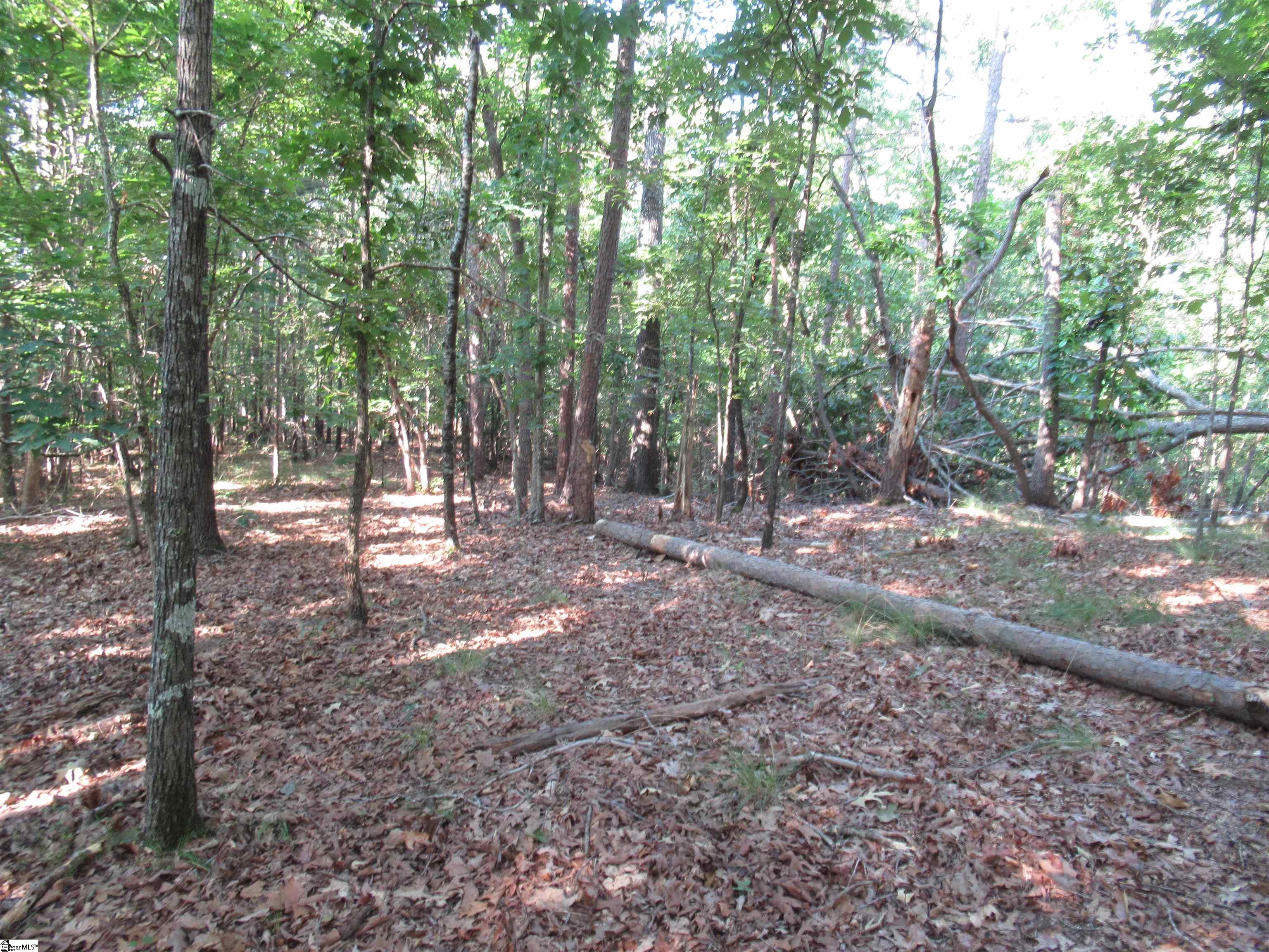00 Murphy Road Property Photo 13