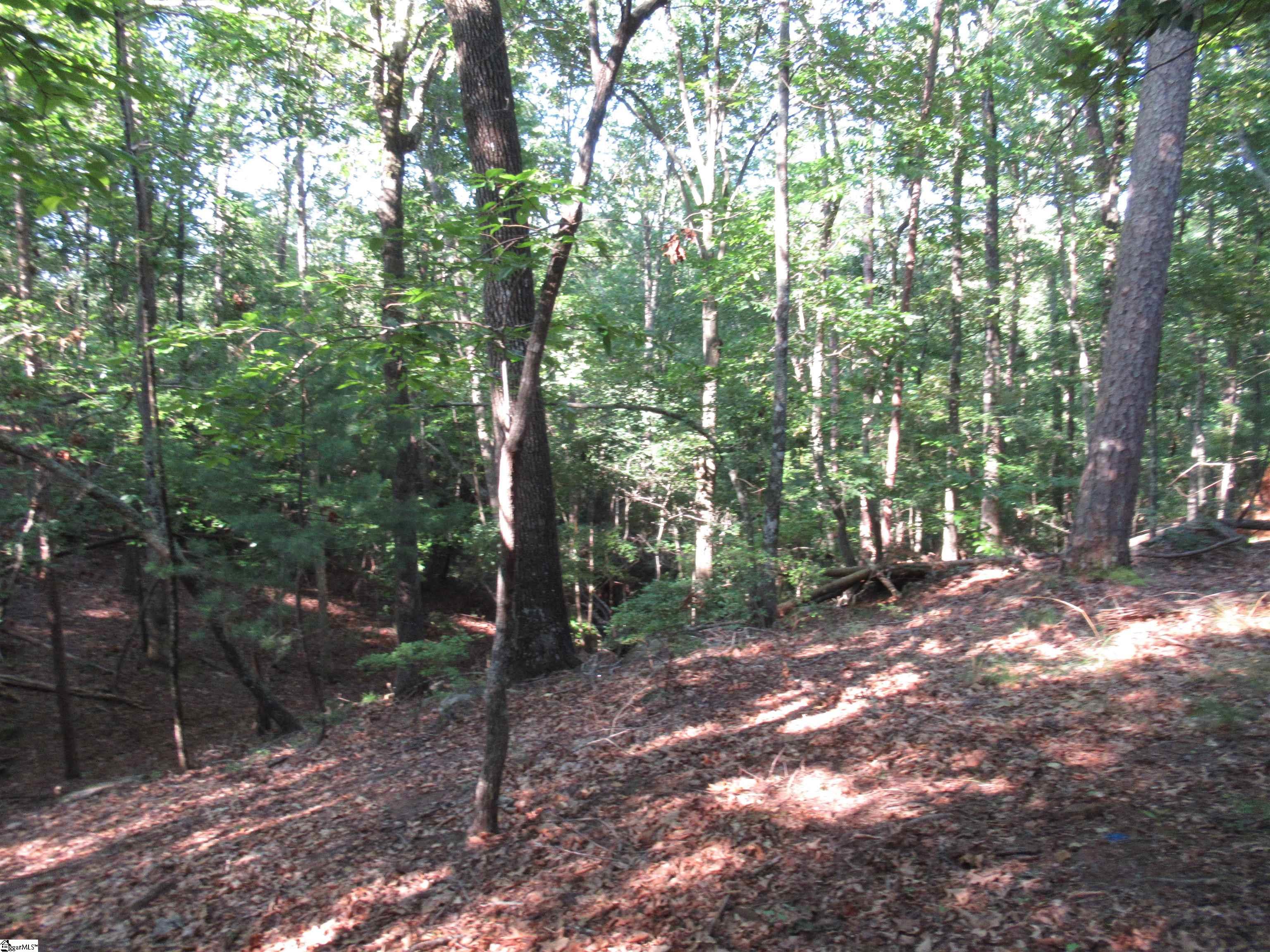 00 Murphy Road Property Photo 19
