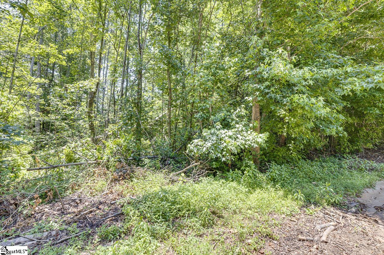 1208 Bradford Creek Lane Property Photo