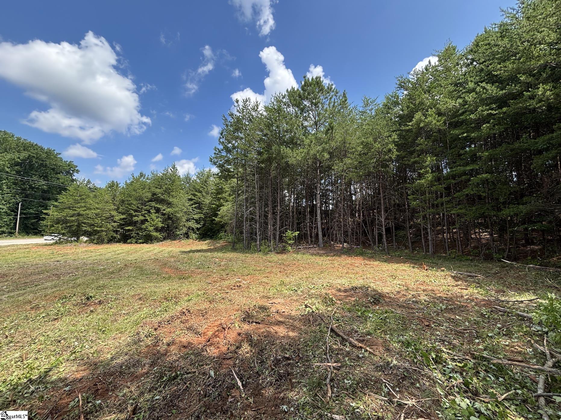 00 New Woodruff Road Property Photo 10