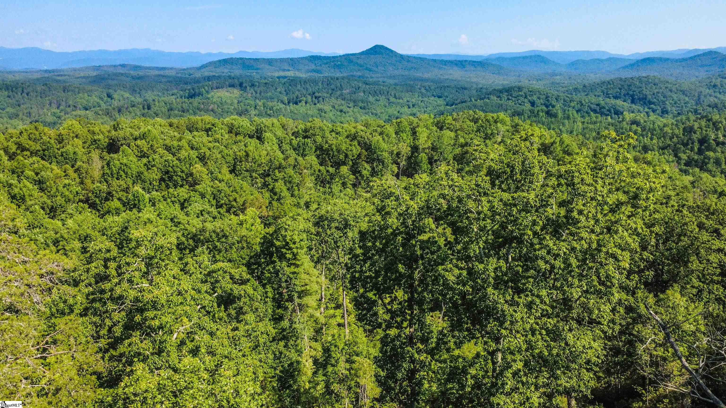 728/802 Scharlin Drive Property Photo 12