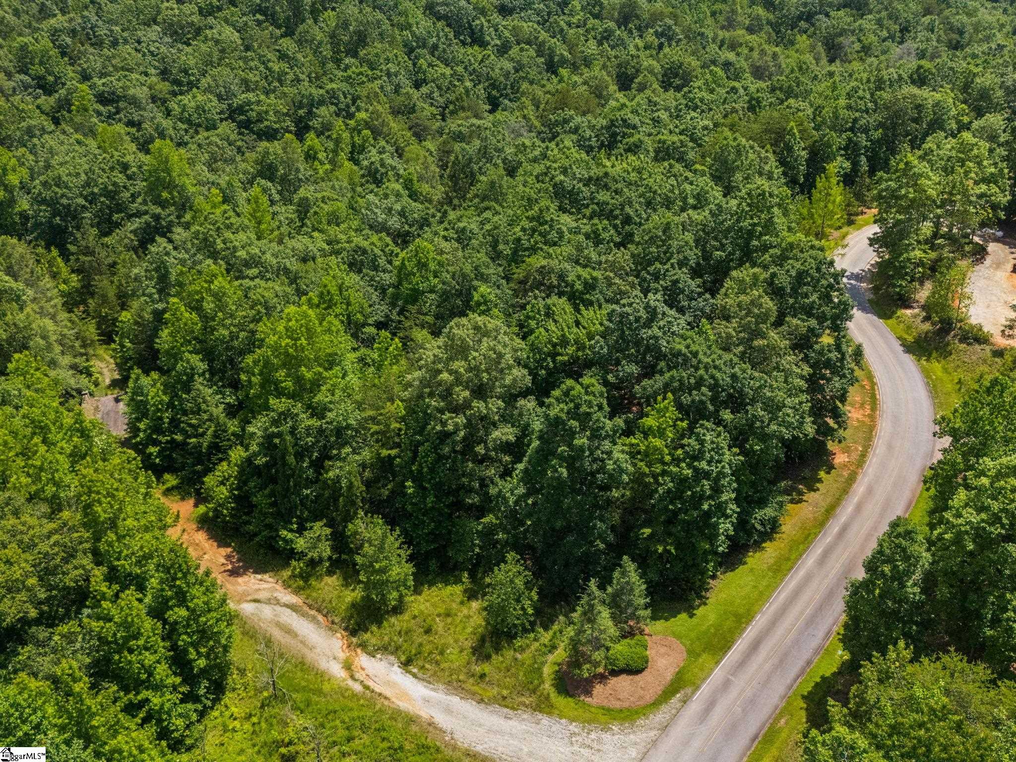 601 Tree Haven Trail Property Photo 3