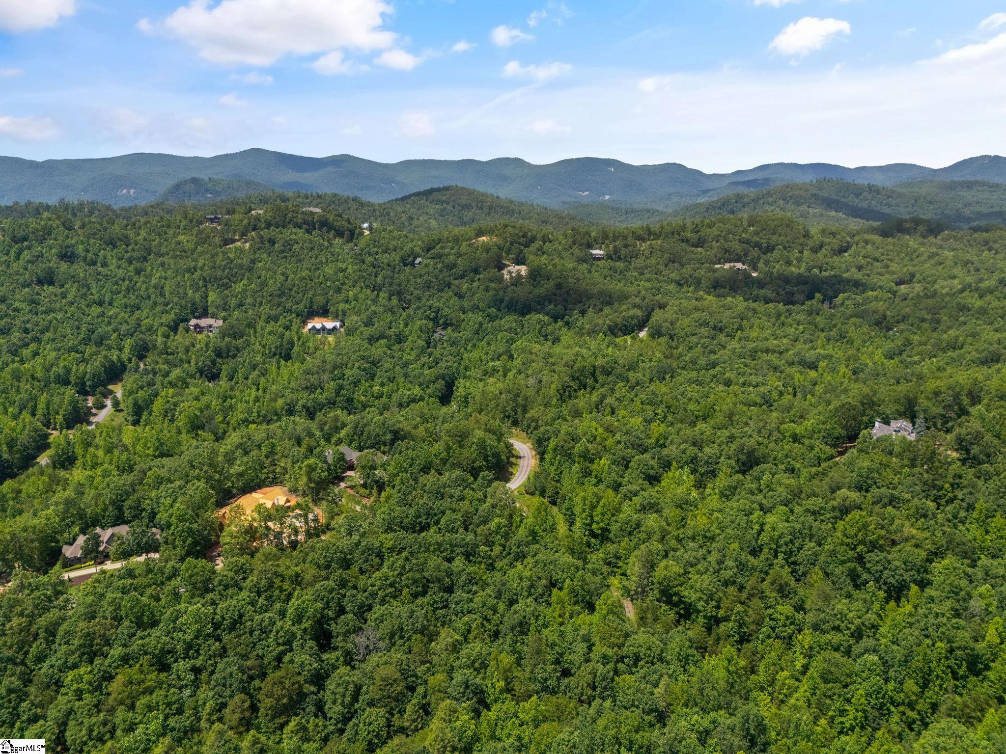 601 Tree Haven Trail Property Photo 7