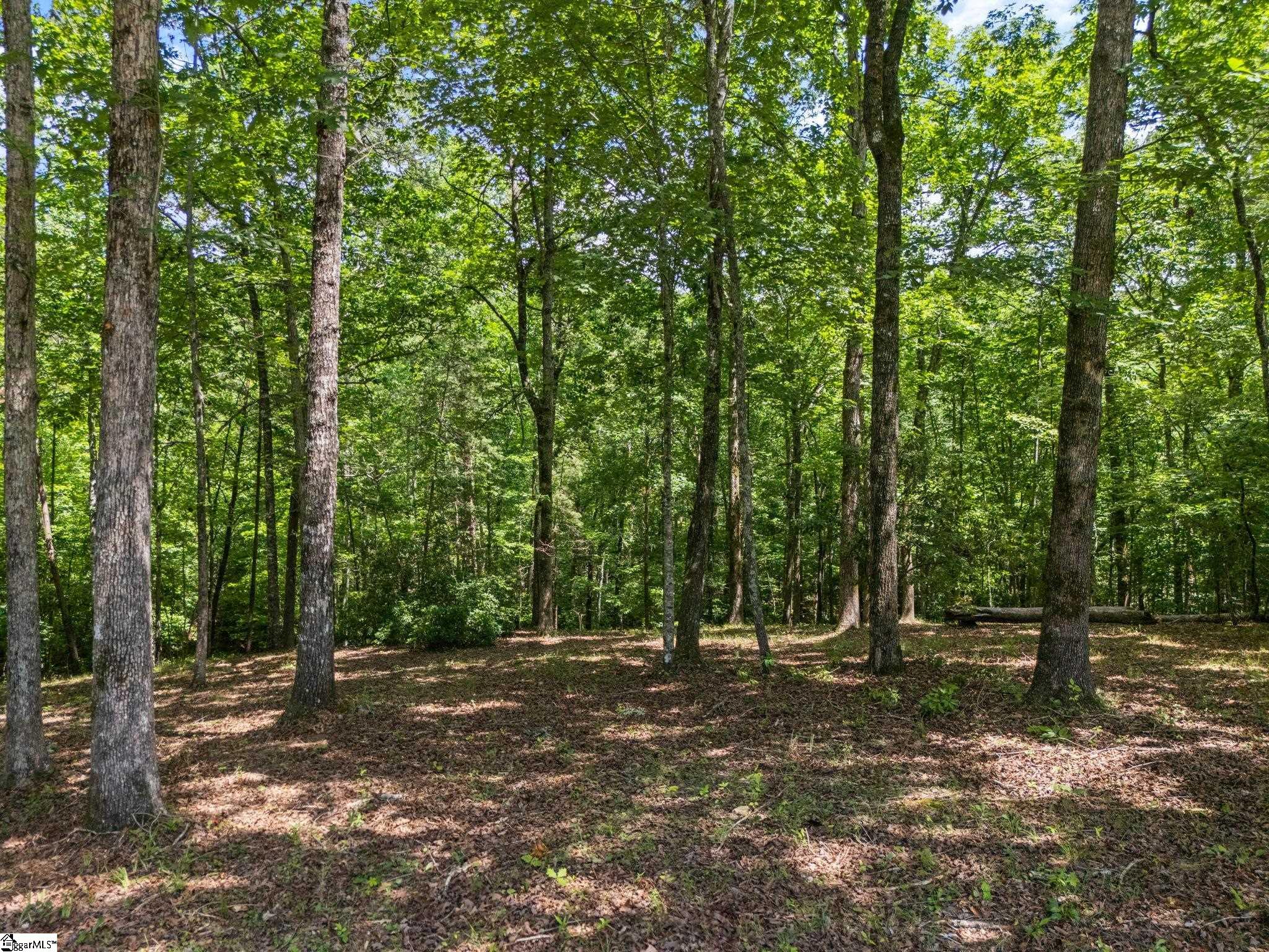 601 Tree Haven Trail Property Photo 8