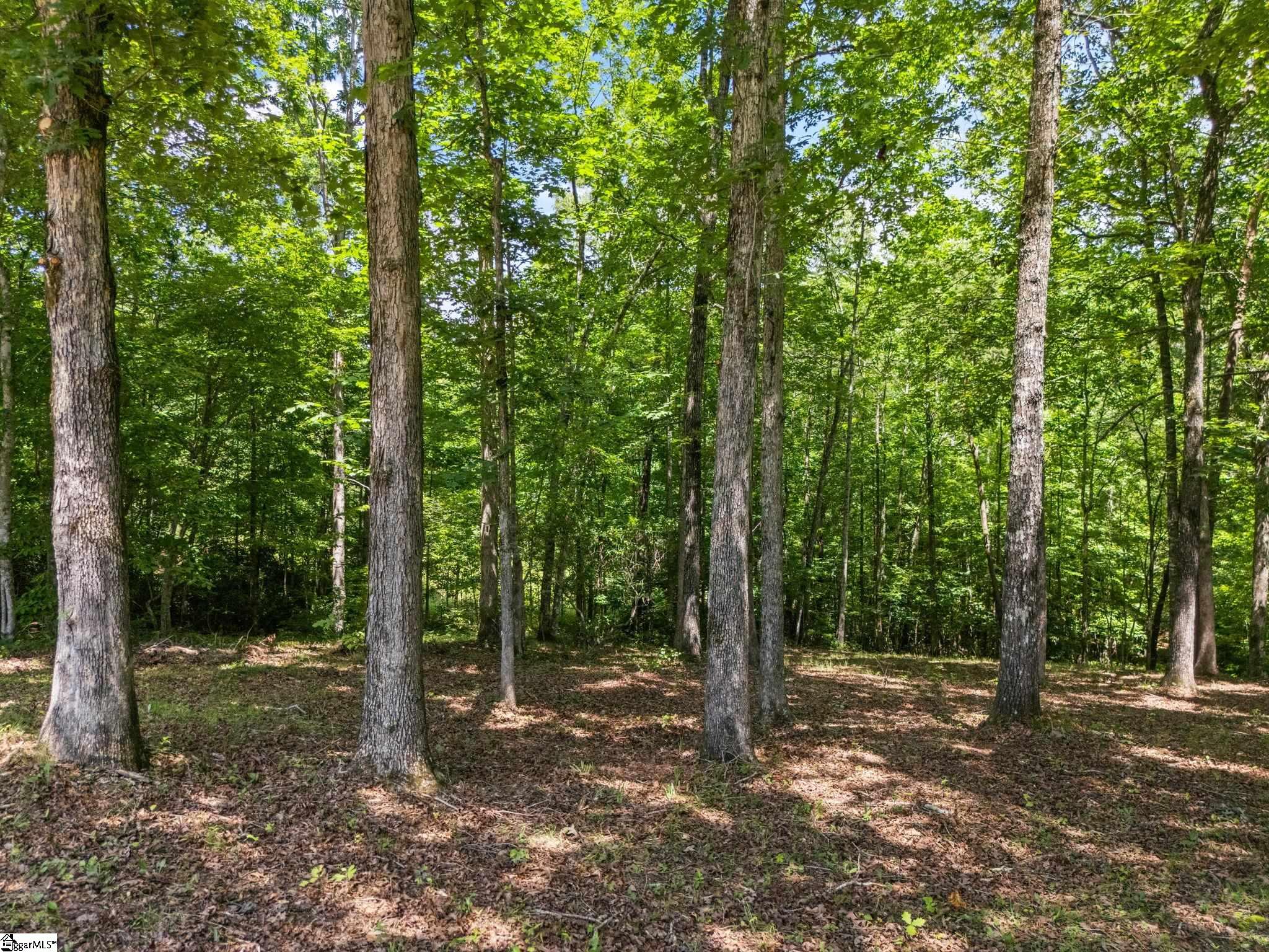 601 Tree Haven Trail Property Photo 9