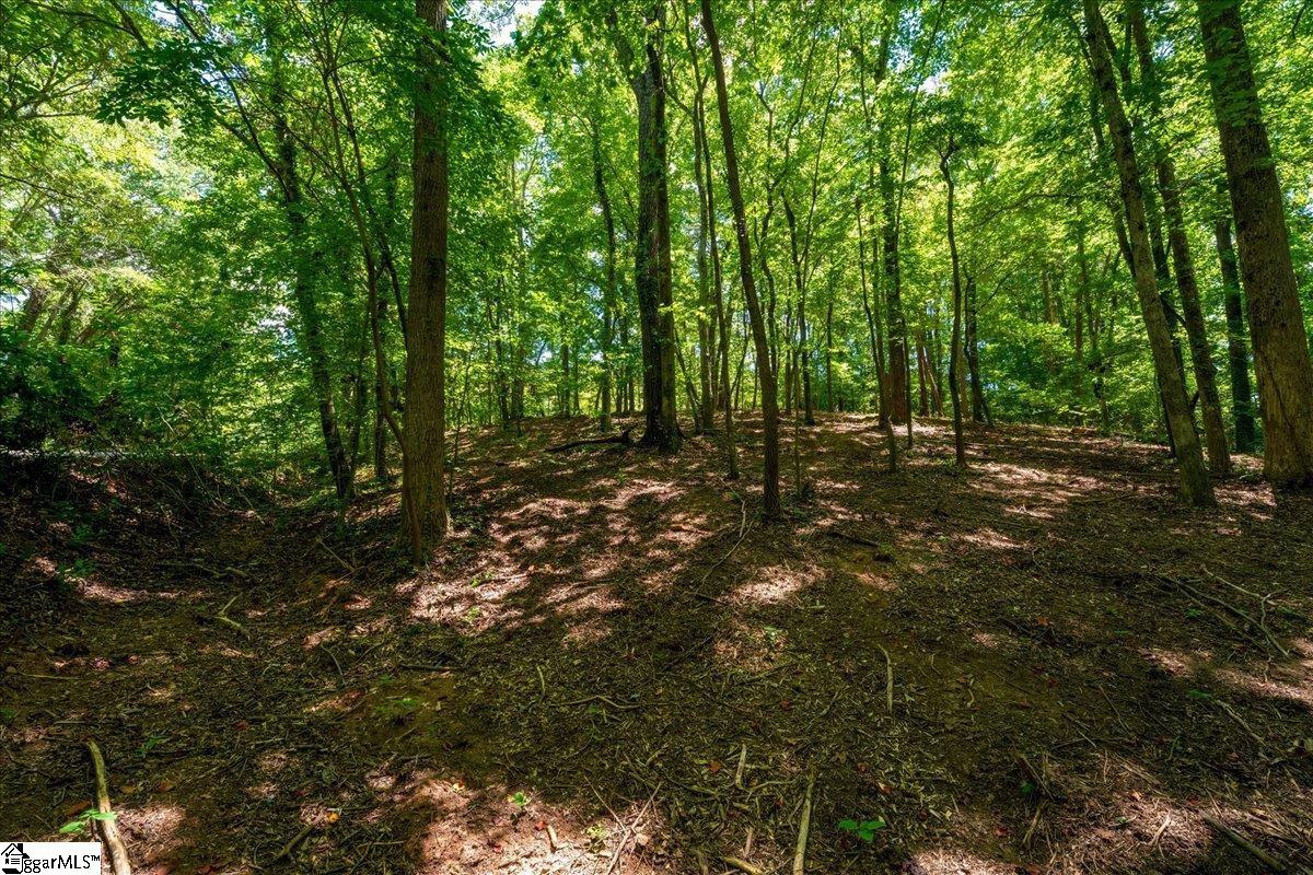000 Cane Creek Drive Property Photo 2