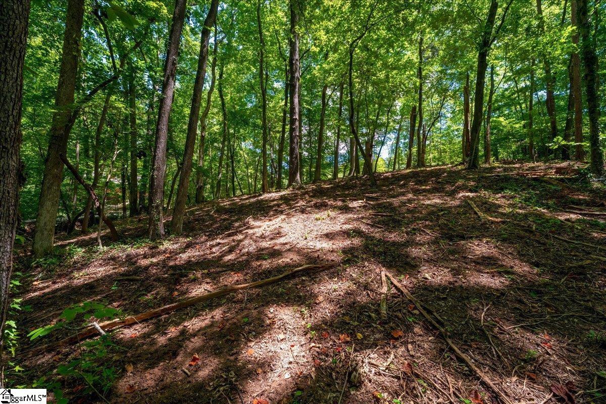 000 Cane Creek Drive Property Photo 4