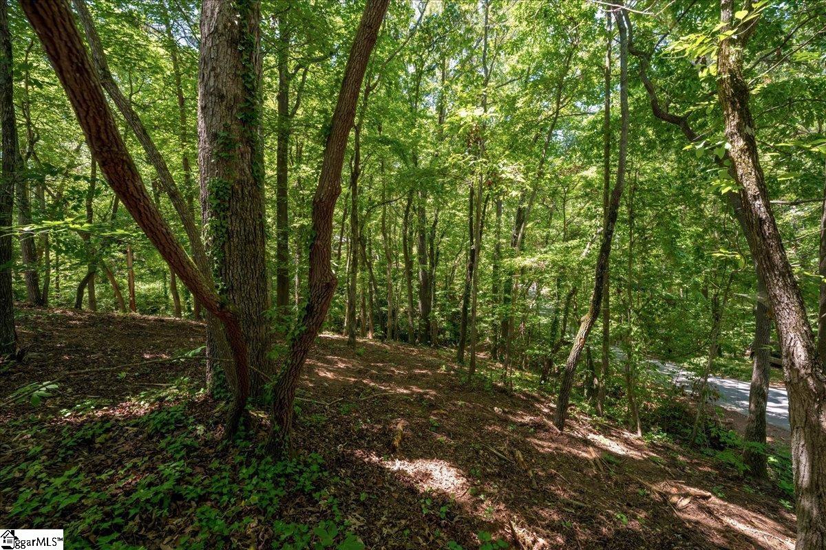 000 Cane Creek Drive Property Photo 10