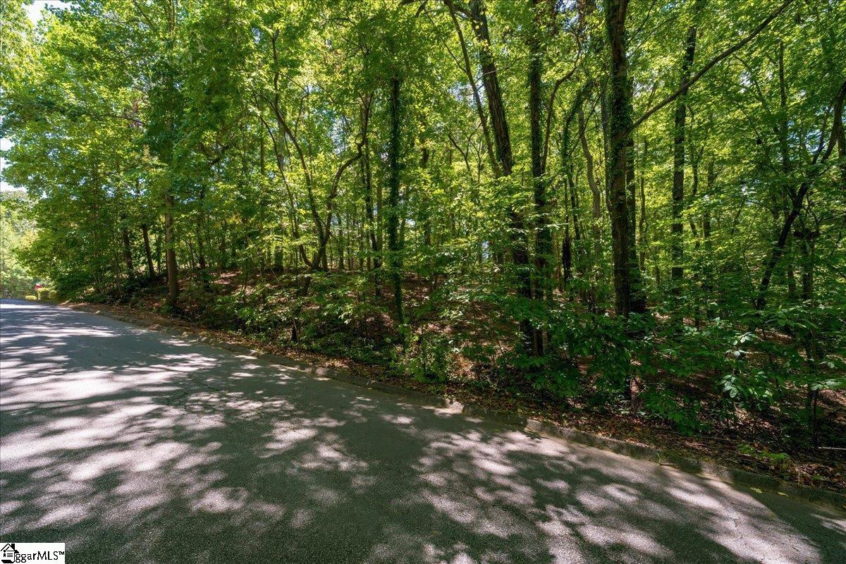 000 Cane Creek Drive Property Photo 11