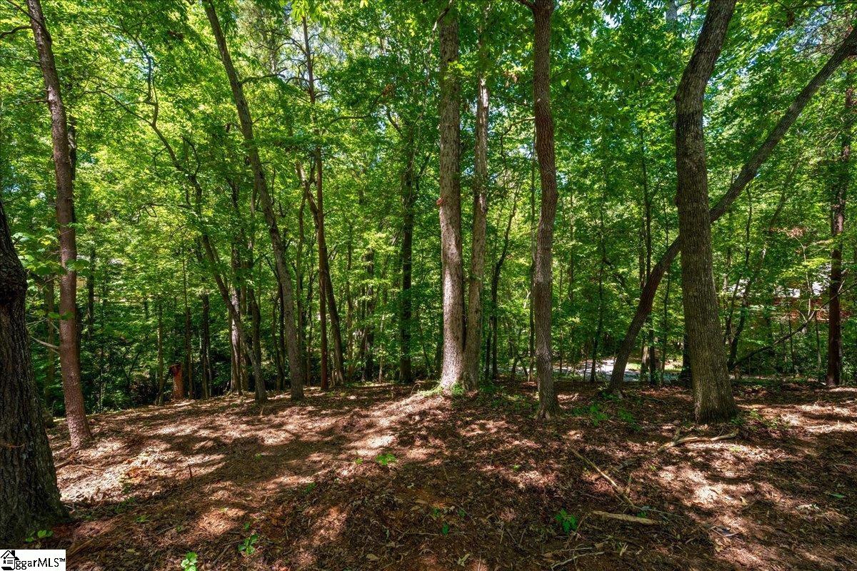 000 Cane Creek Drive Property Photo 14
