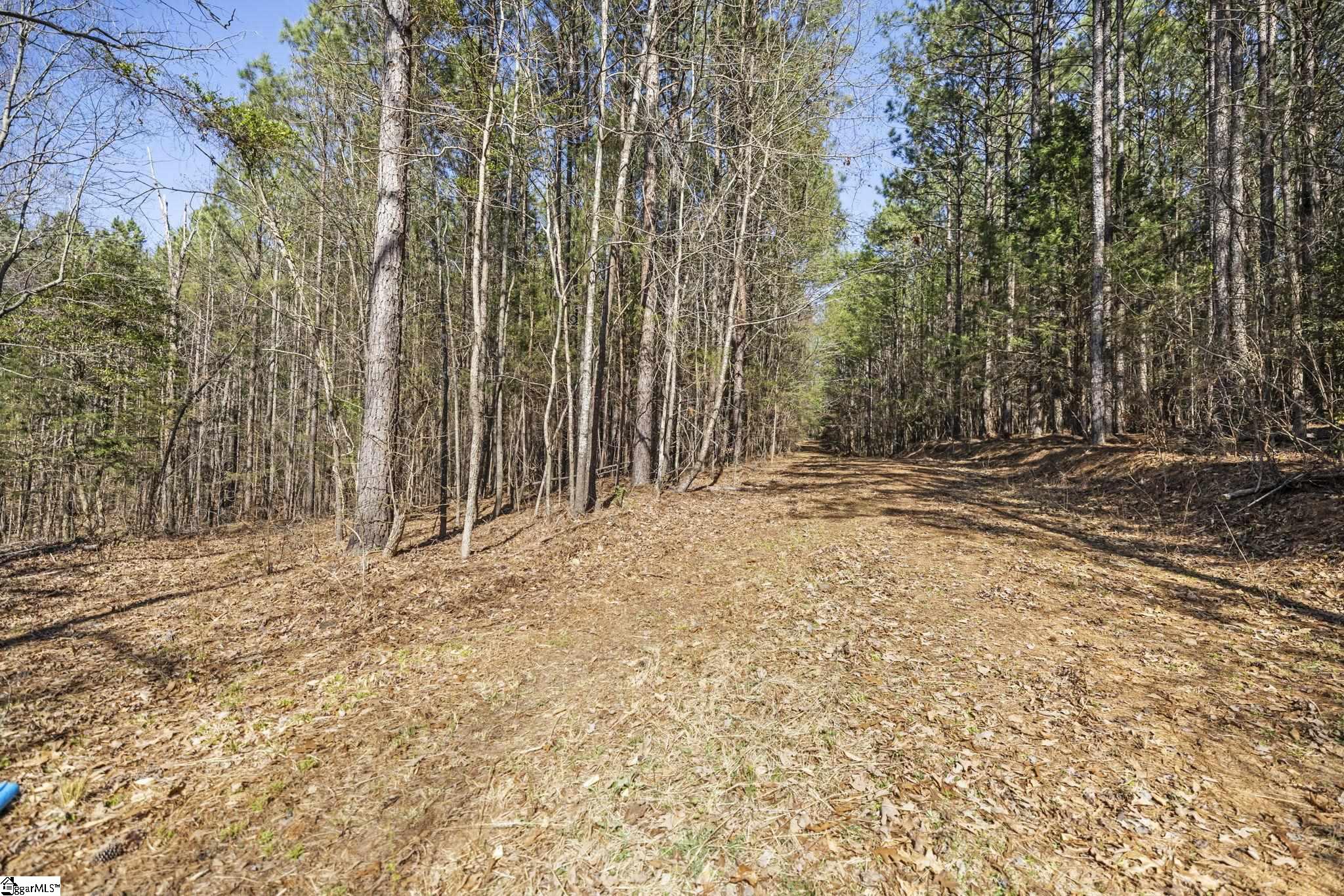 1073a Boyd Mills Pond Road Property Photo 3